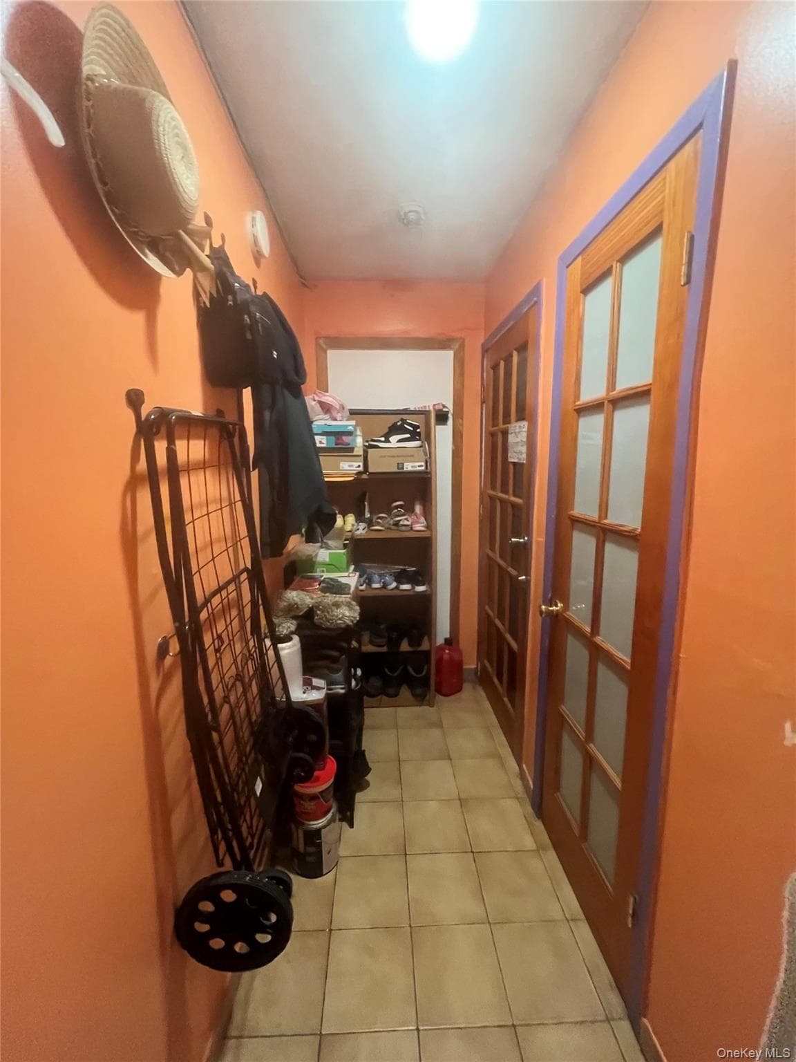 619 E 86th Street thumbnail 7