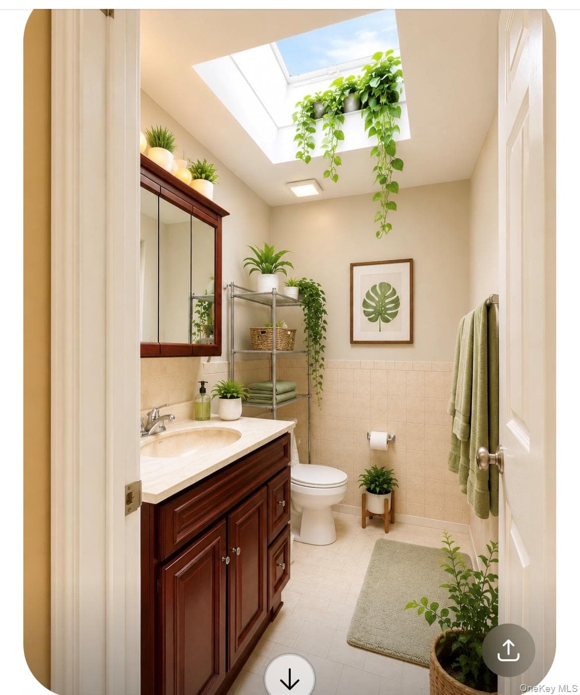619 E 86th Street thumbnail 31