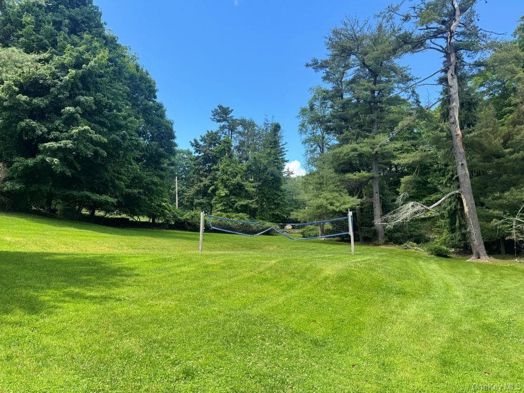 255 Mountain Road thumbnail 6