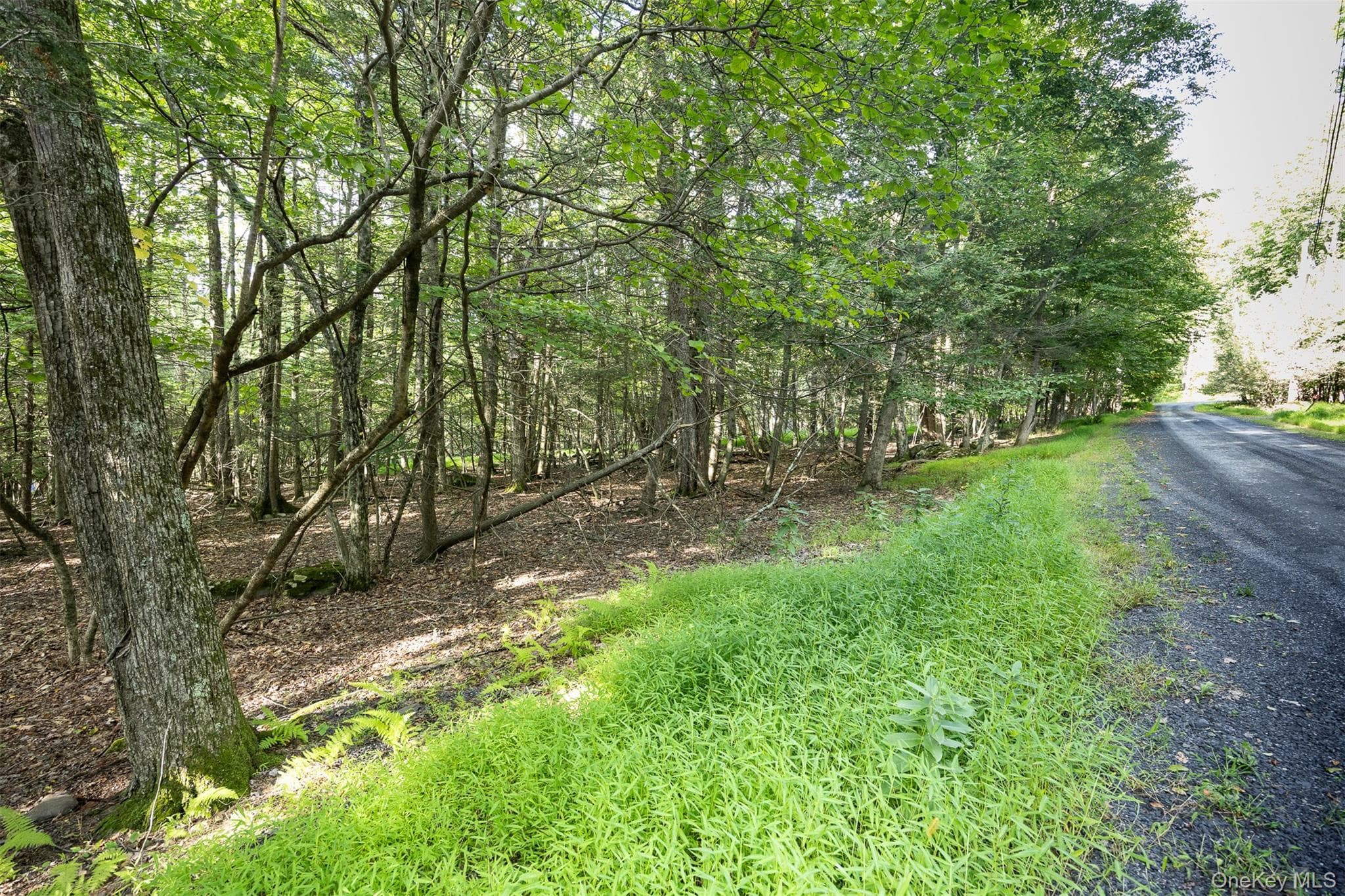 Lot 6 Mt Guardian Road thumbnail 7