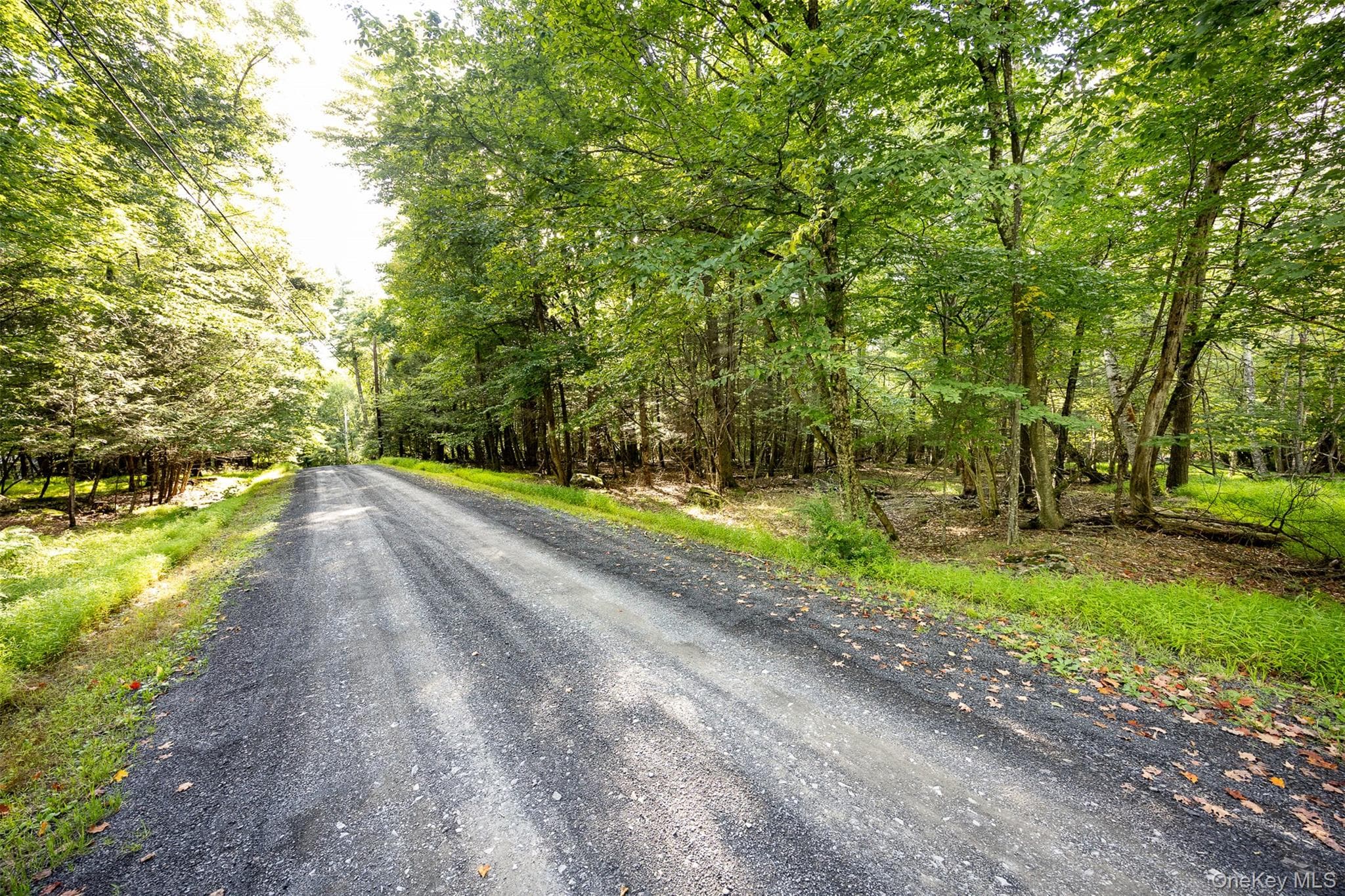 Lot 6 Mt Guardian Road thumbnail 9