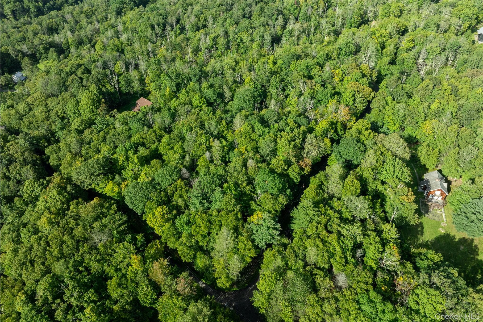 Lot 6 Mt Guardian Road, Bearsville