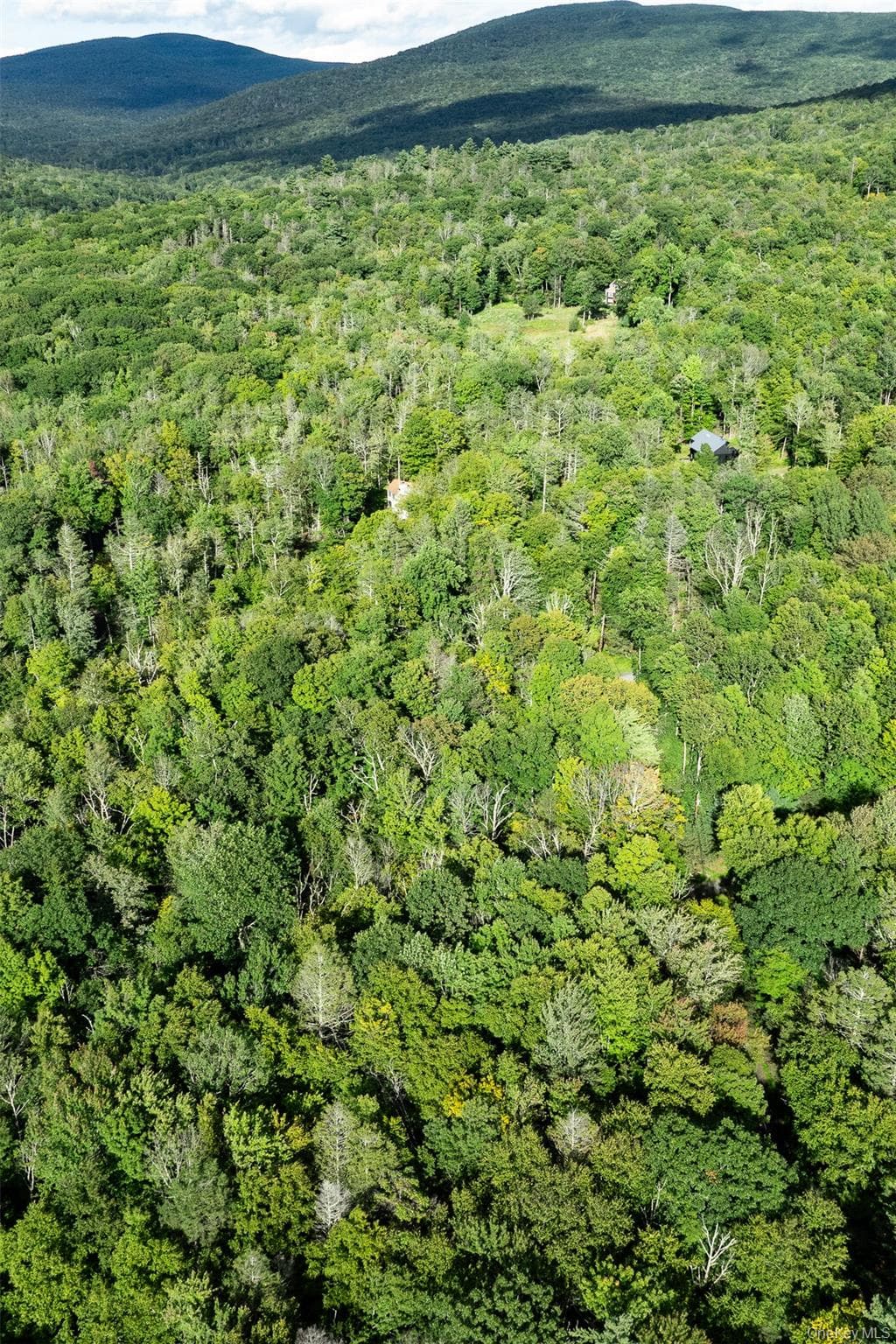 Lot 6 Mt Guardian Road thumbnail 12