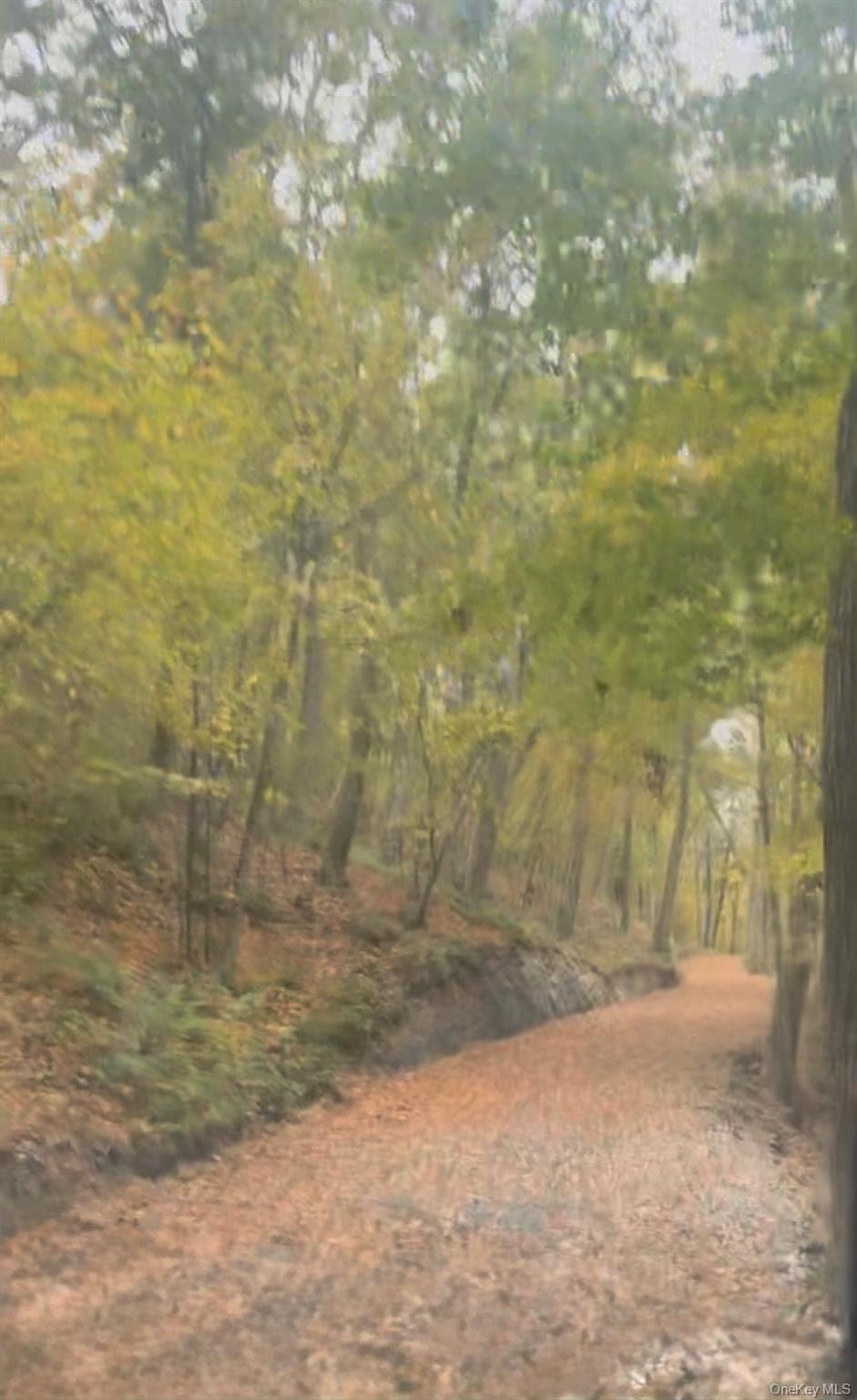 Mile High Road thumbnail 6