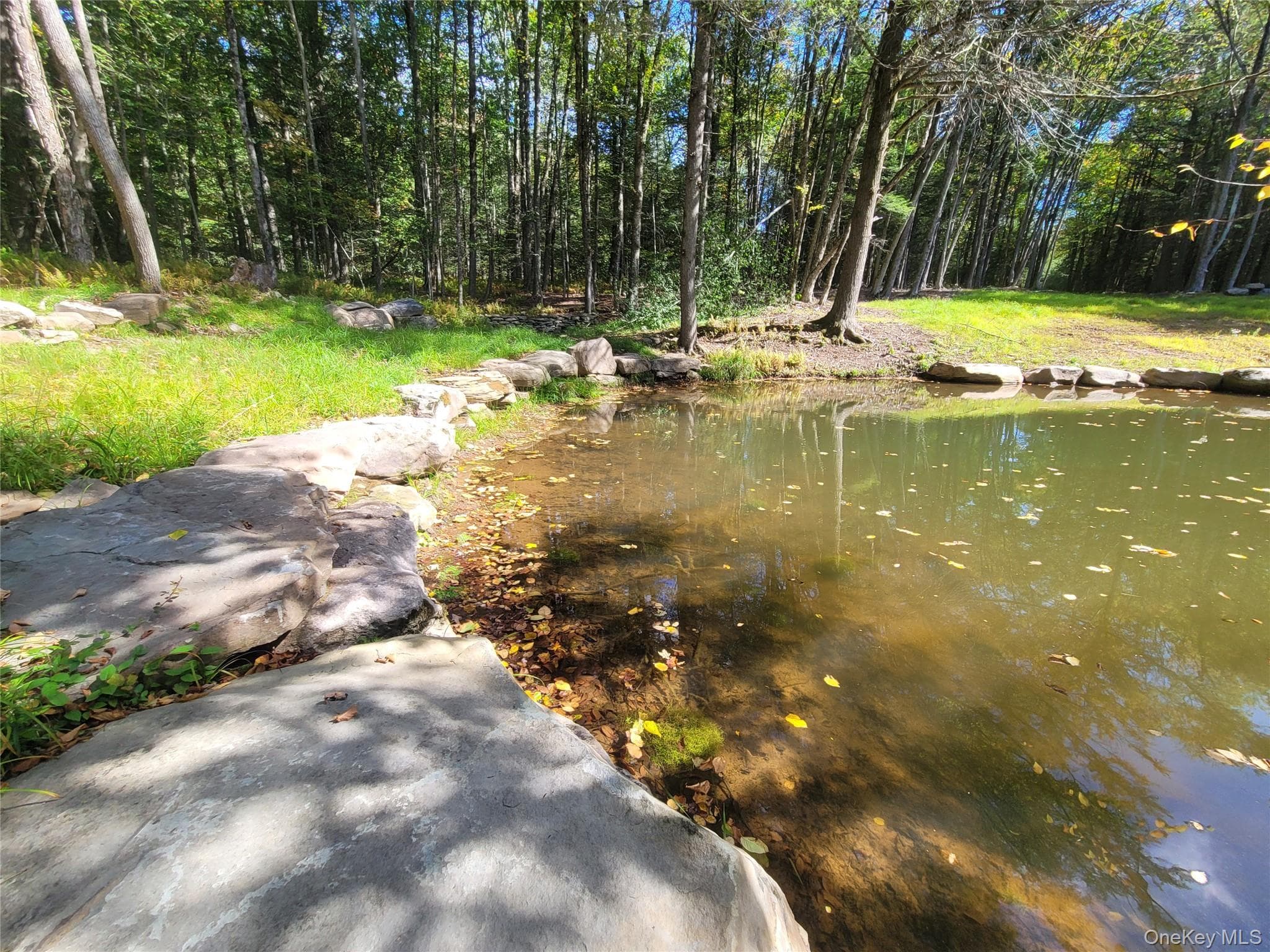 361 Ahrens Road thumbnail 5