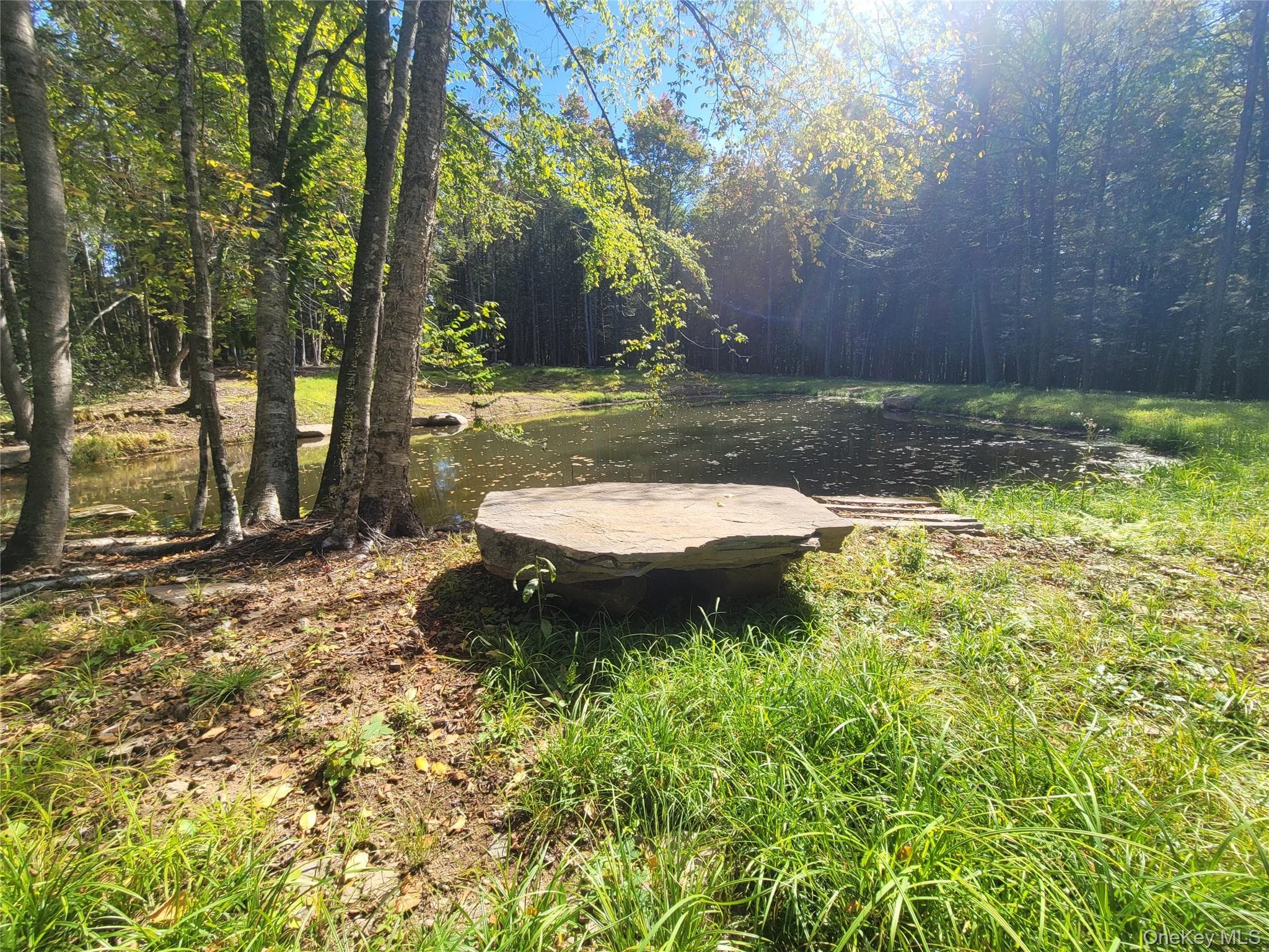 361 Ahrens Road thumbnail 4