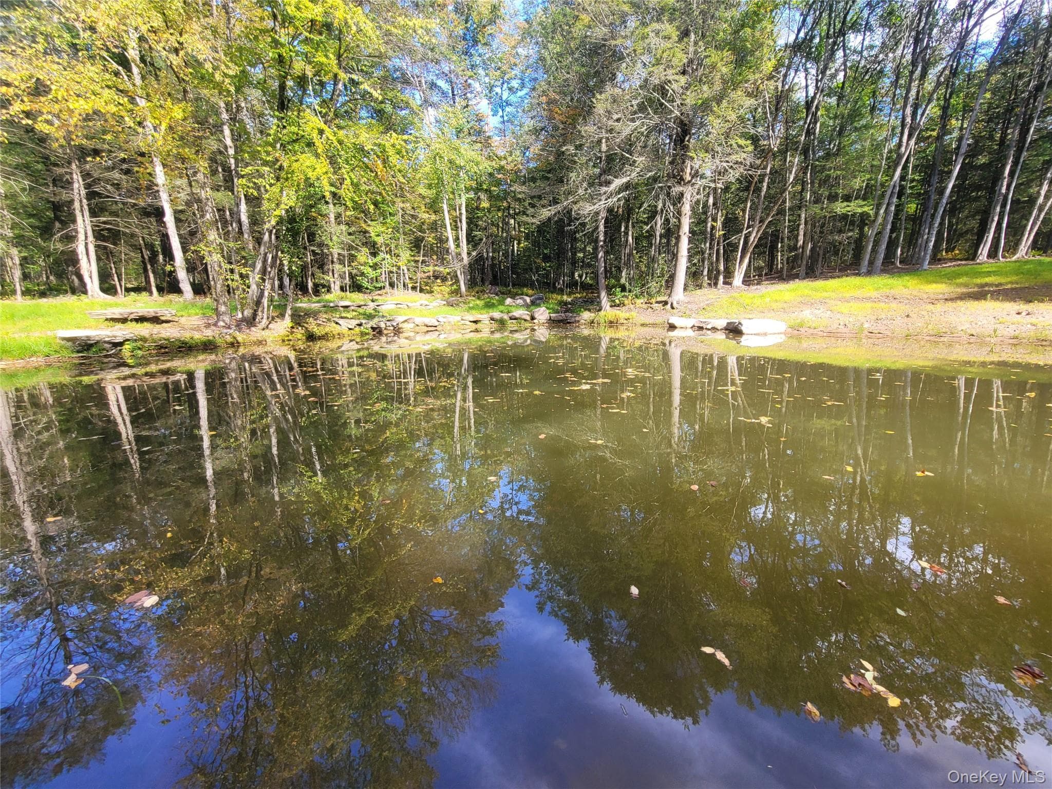 361 Ahrens Road thumbnail 2