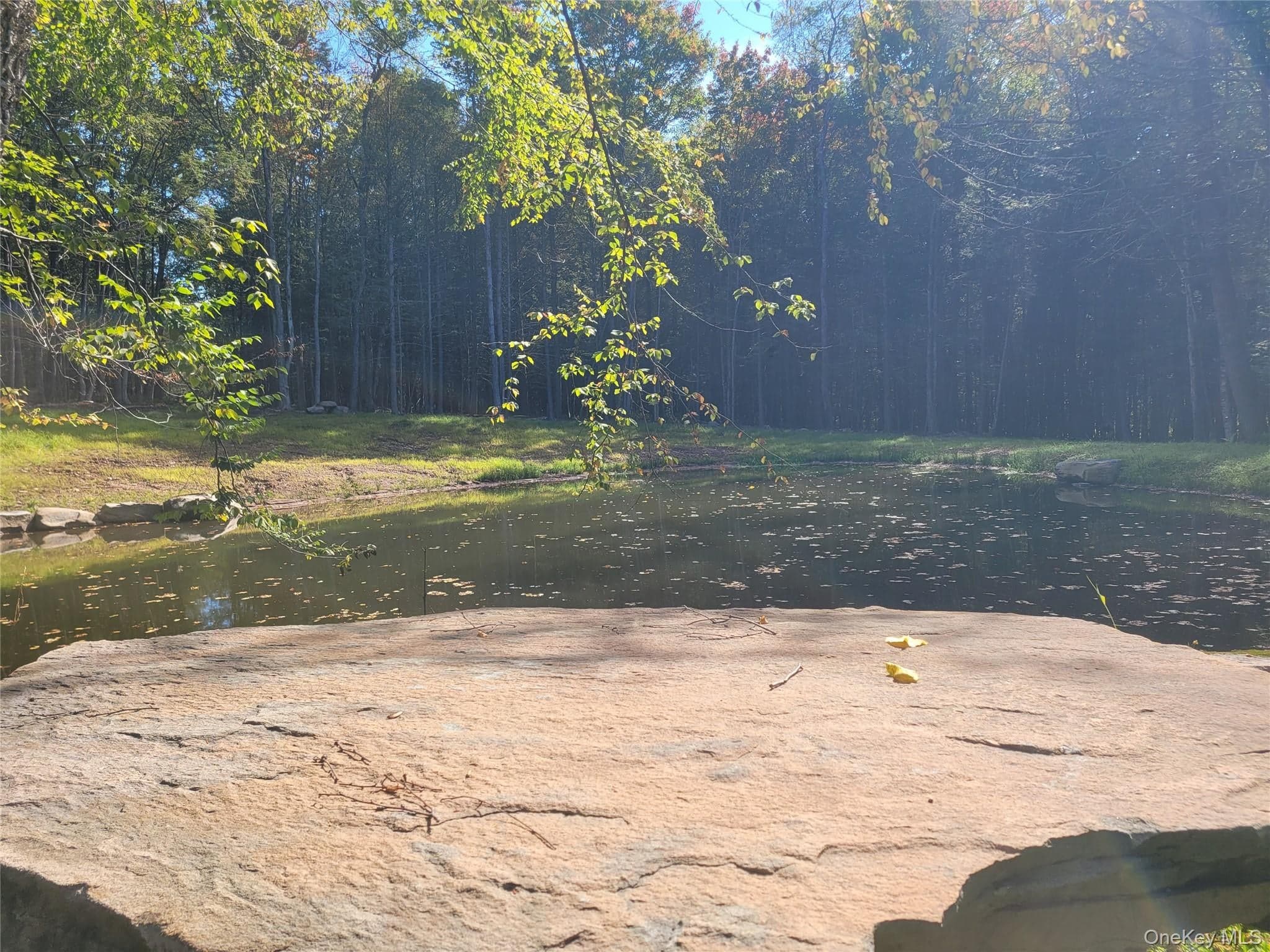 361 Ahrens Road thumbnail 3