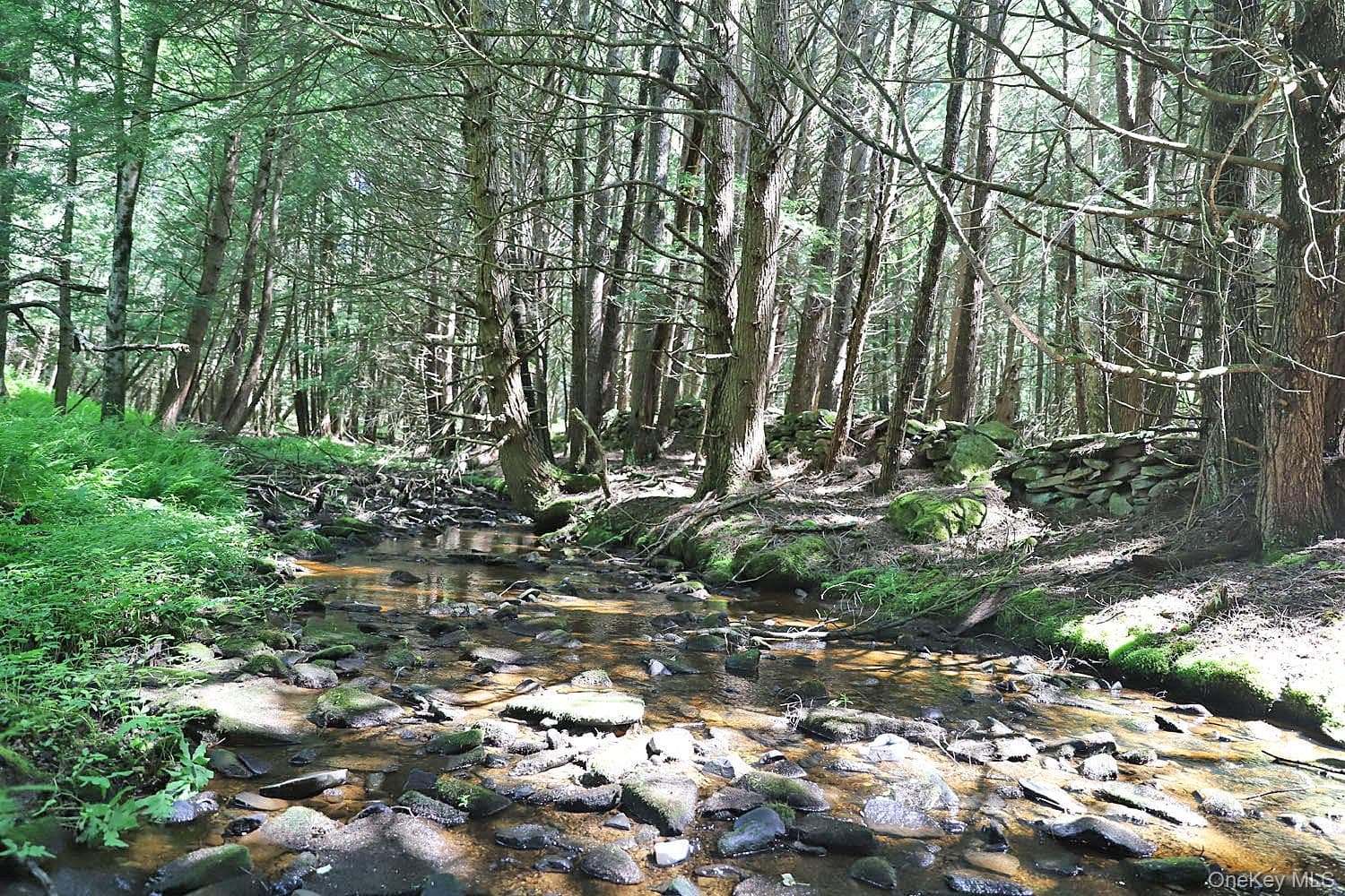 Lot 4A Hurd Road thumbnail 10