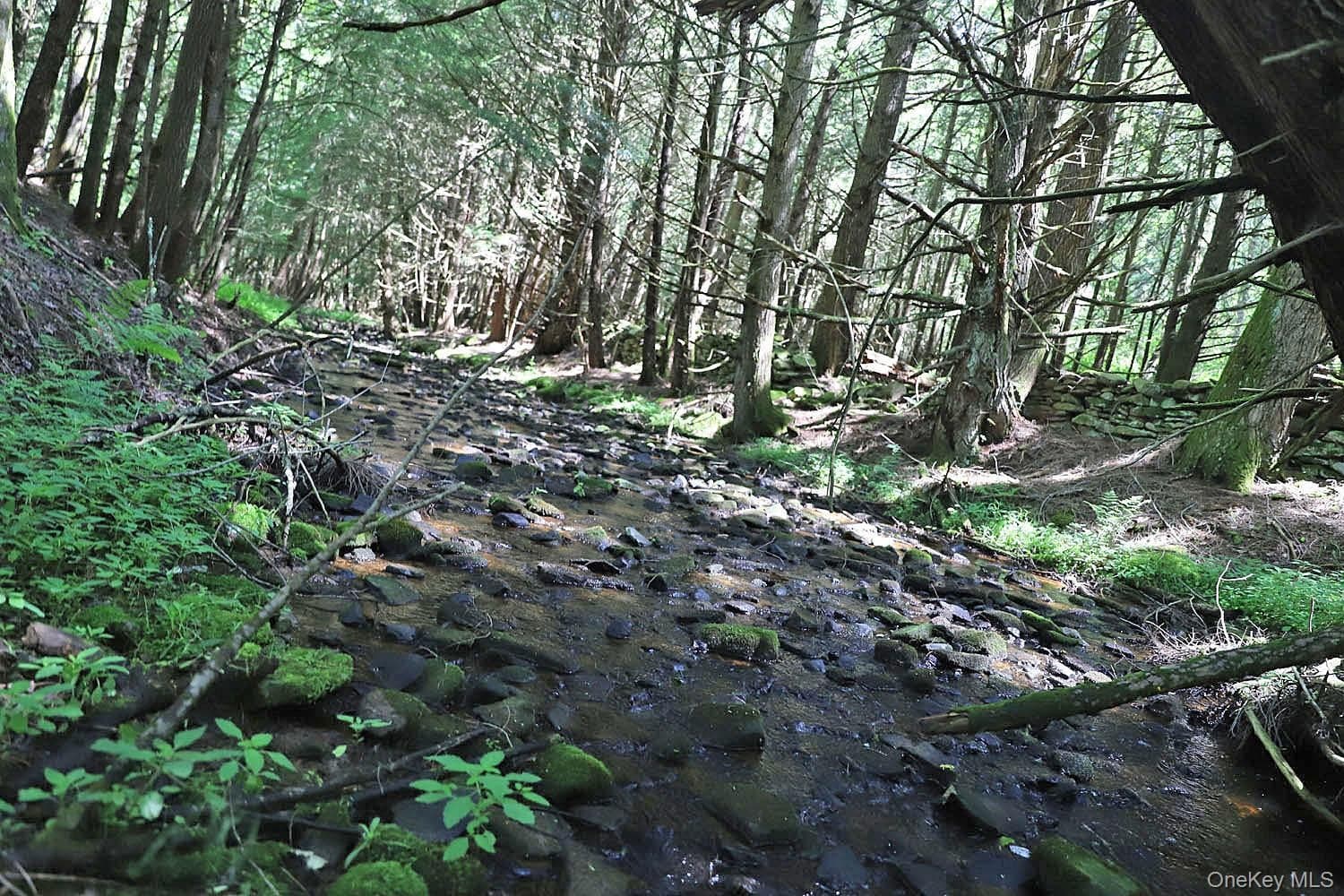 Lot 4A Hurd Road thumbnail 6