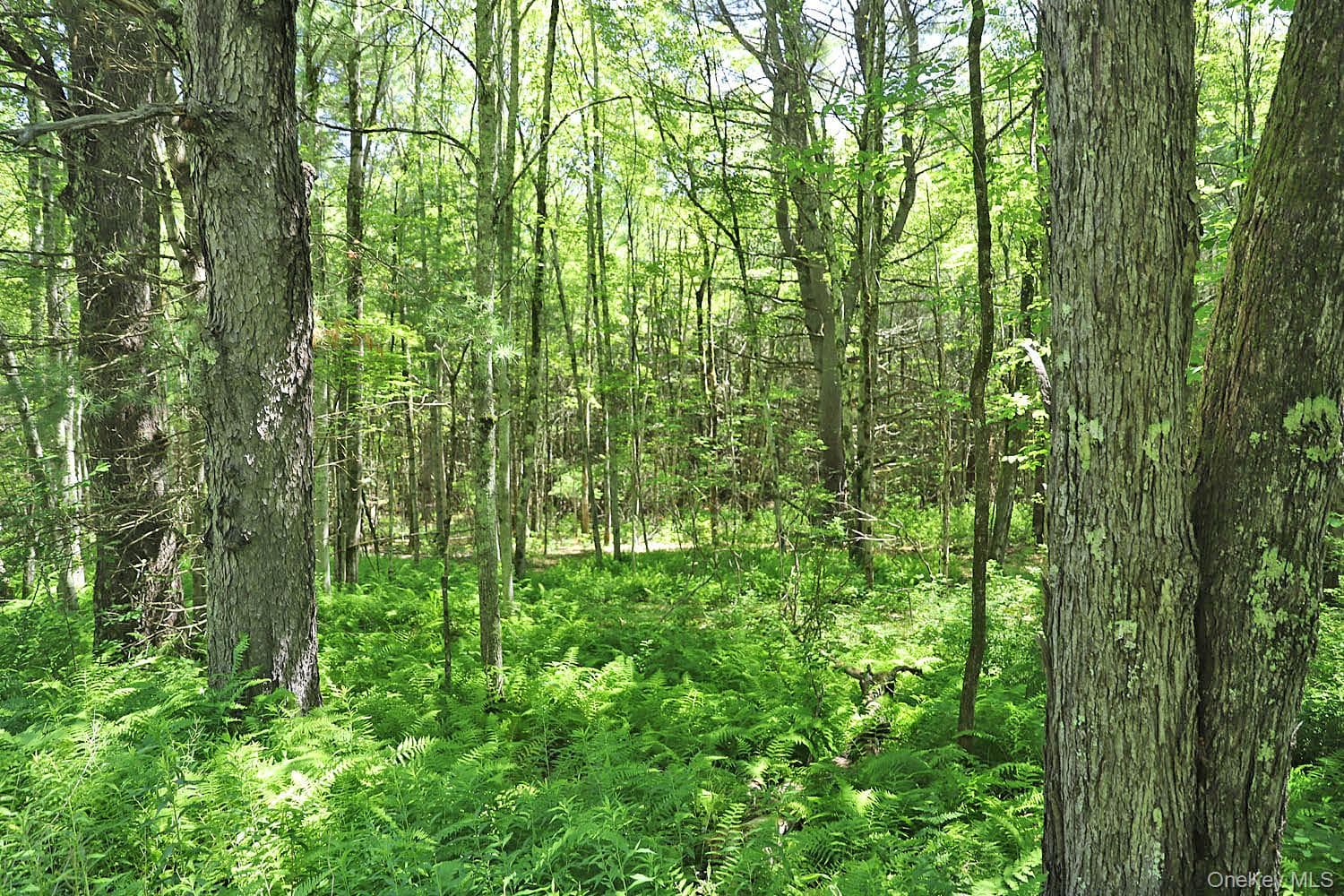 Lot 4A Hurd Road thumbnail 3
