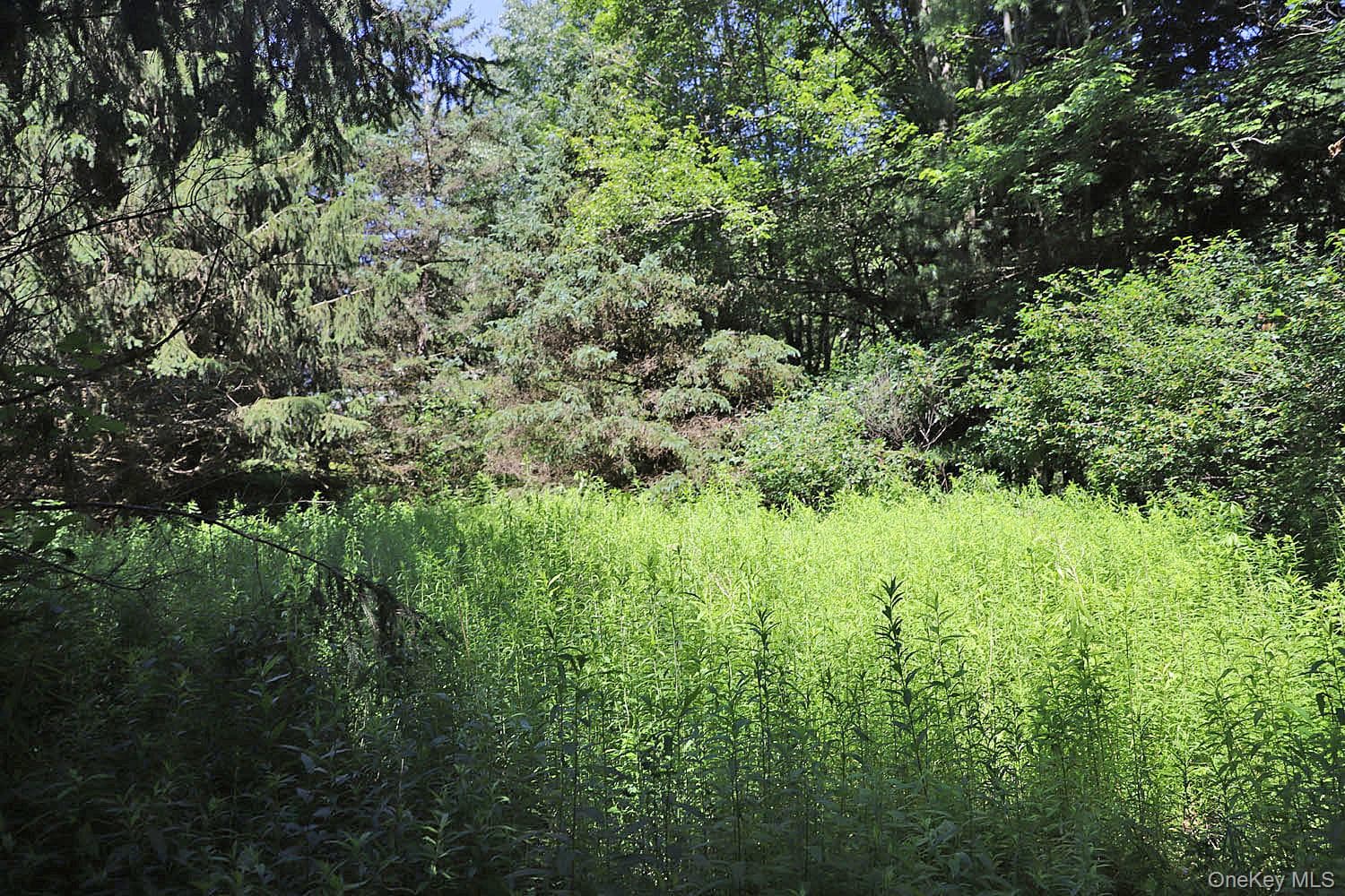 Lot 4A Hurd Road thumbnail 13