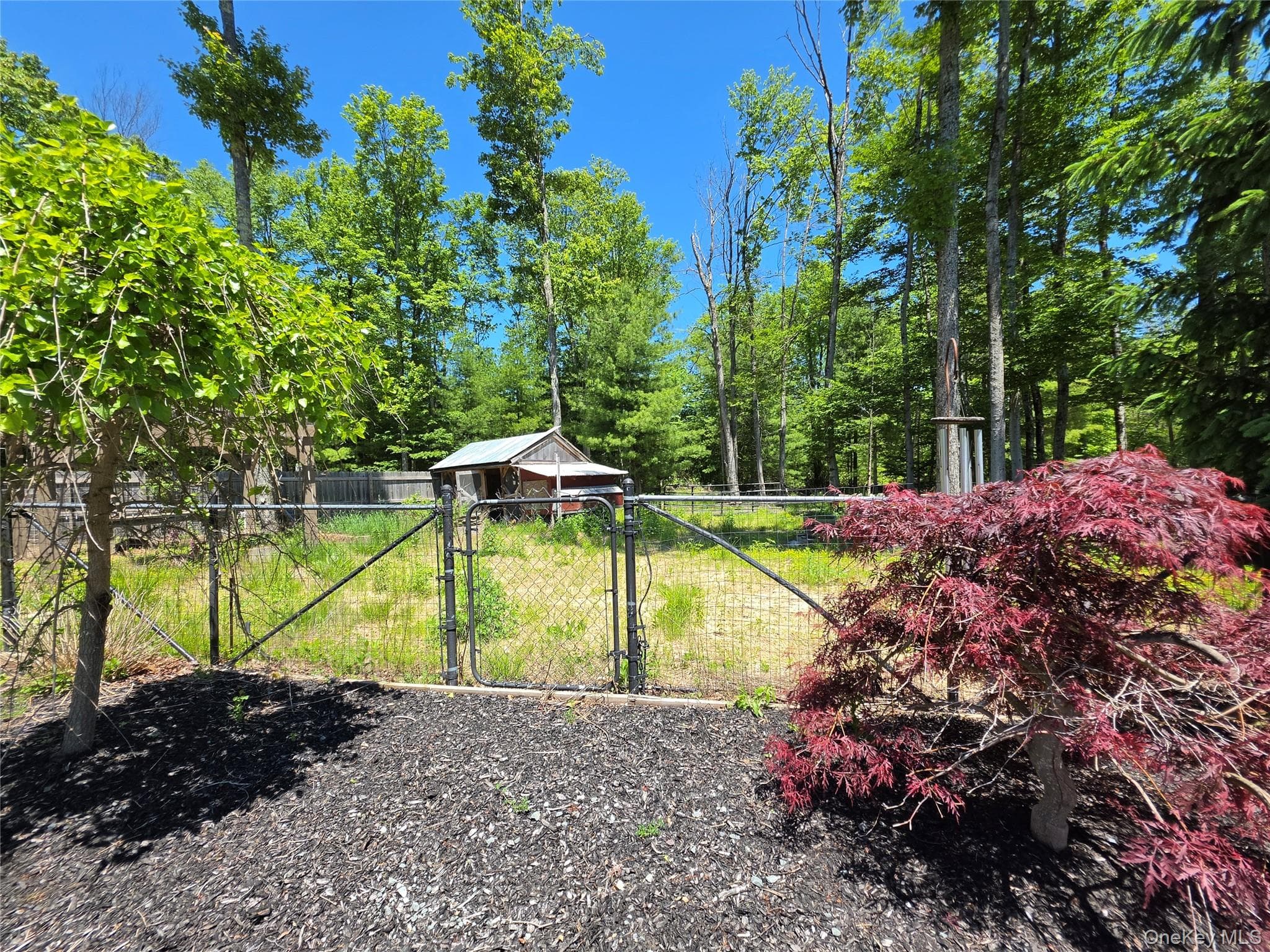 123 Wildwood Way thumbnail 49