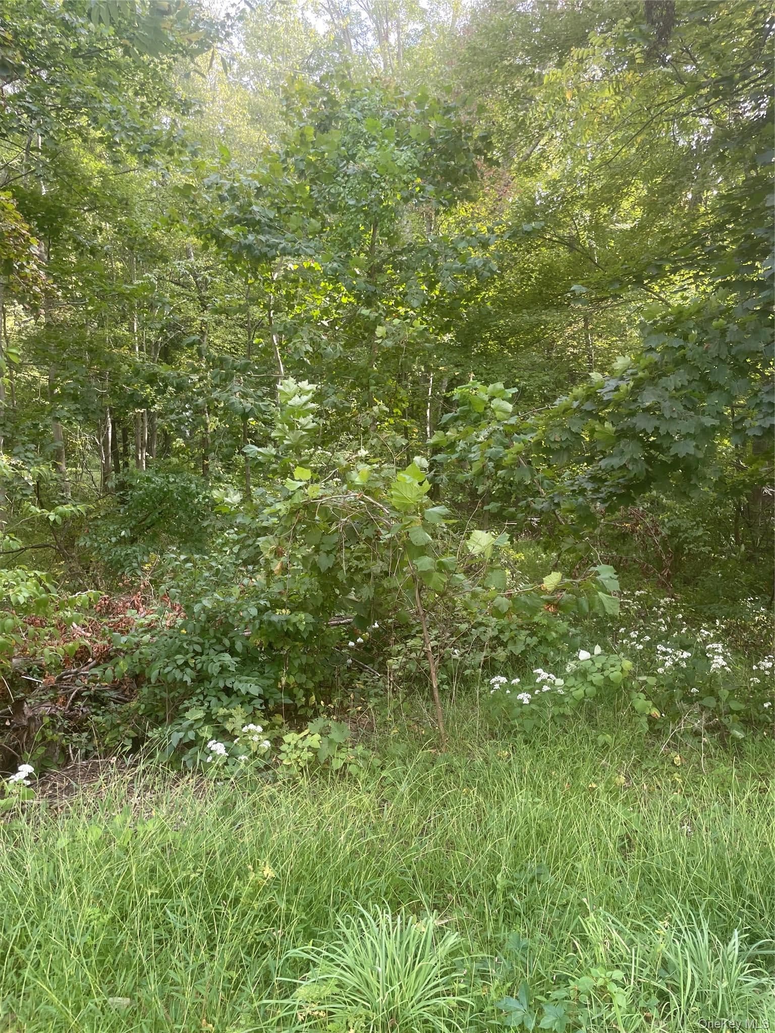2 Big Meadow Lane thumbnail 3
