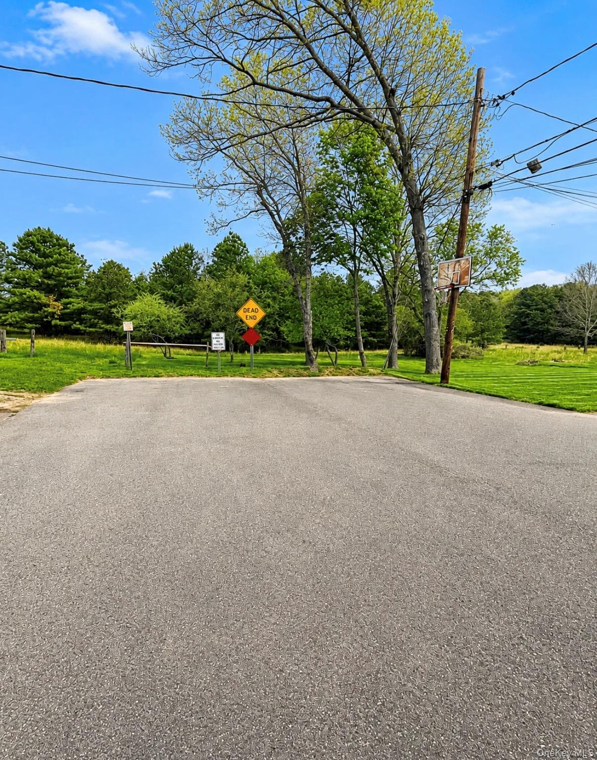 58 Iroquois Trail thumbnail 12