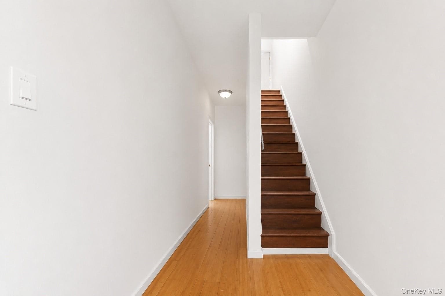 738 E 217th Street thumbnail 11
