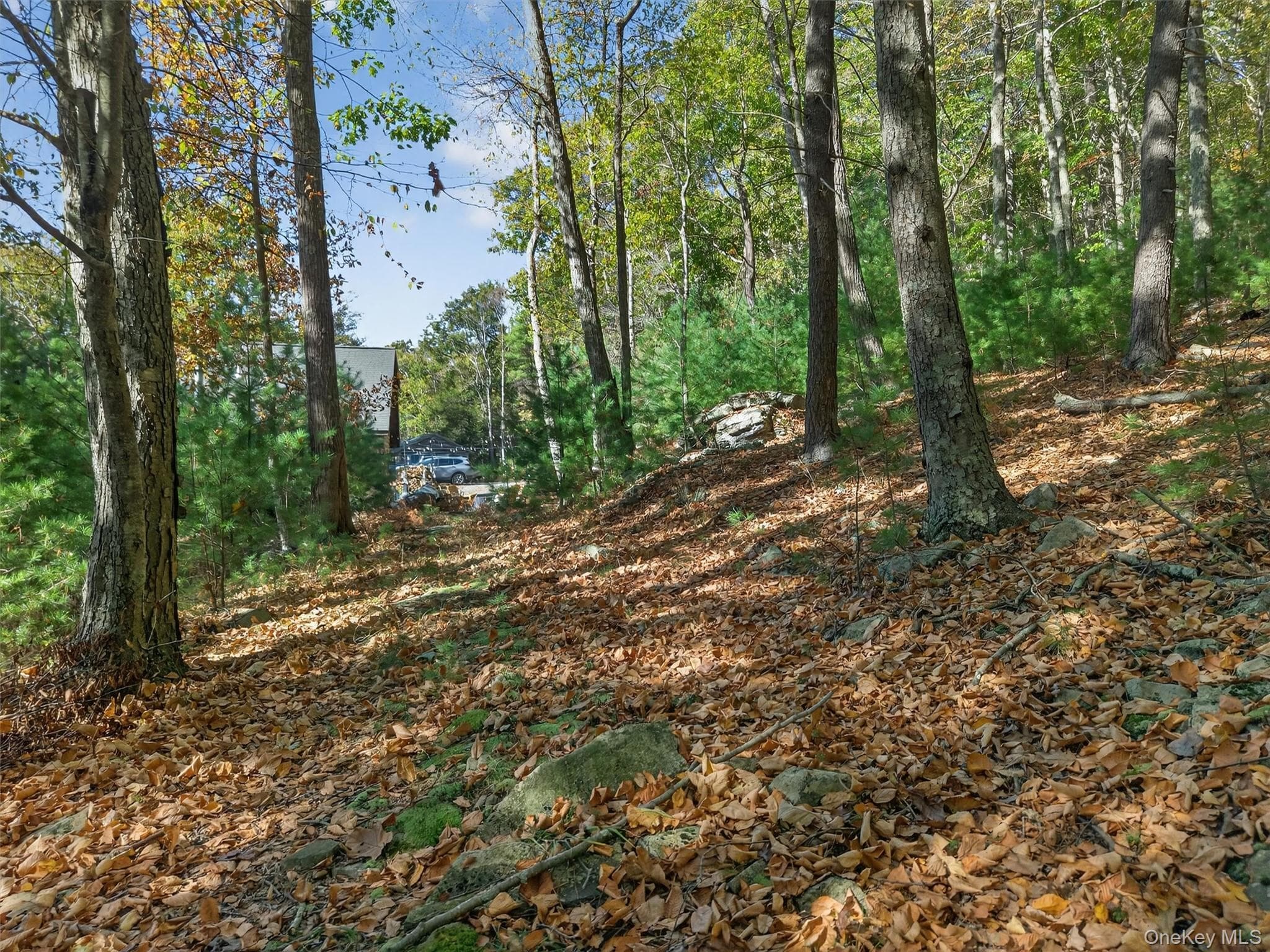 129 Hallock Road thumbnail 15