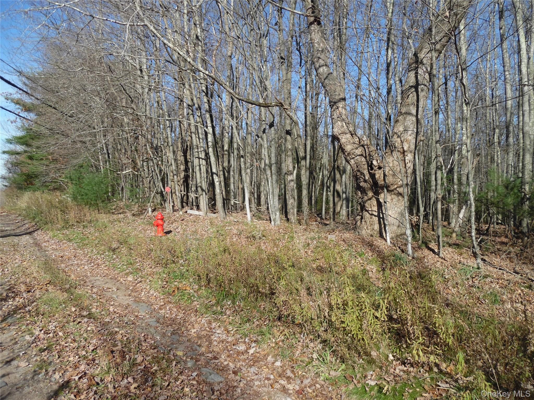 TBT Route 42 thumbnail 8