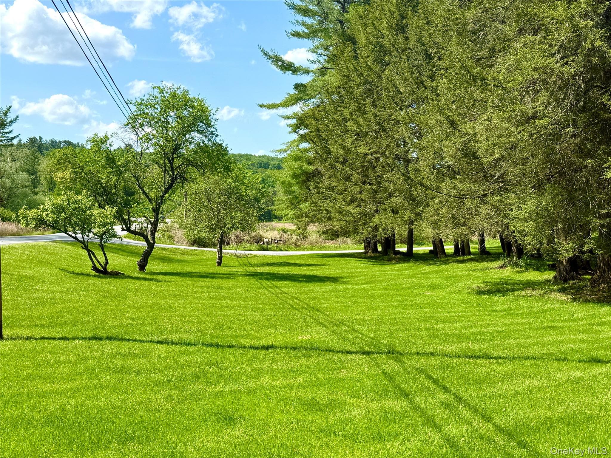 12 Mesmer RD thumbnail 5