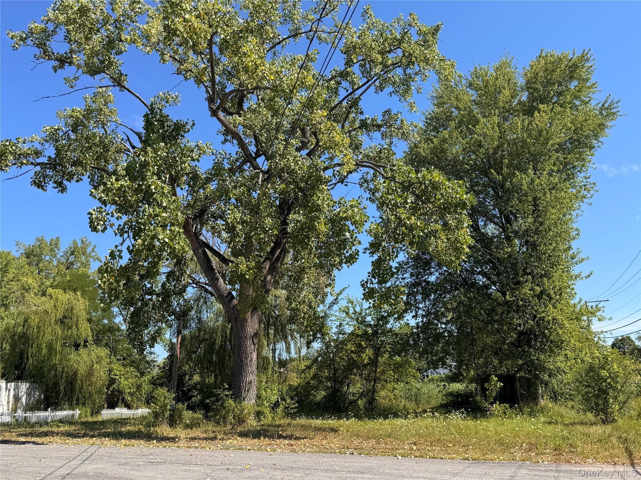 11559 State Route 9w thumbnail 19