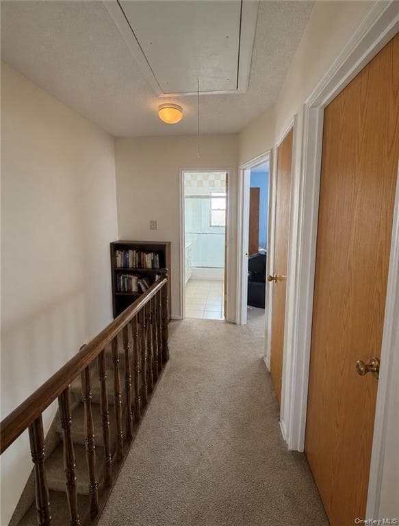 1349 E 103rd Street thumbnail 13