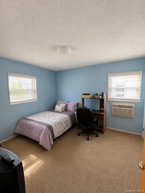 1349 E 103rd Street thumbnail 11