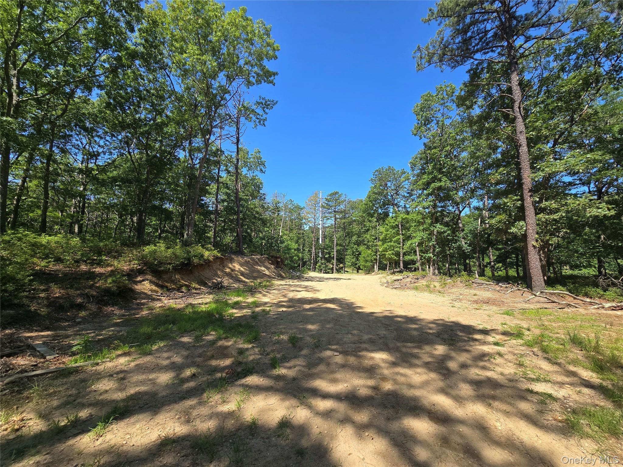 Manor Yaphank Road thumbnail 5