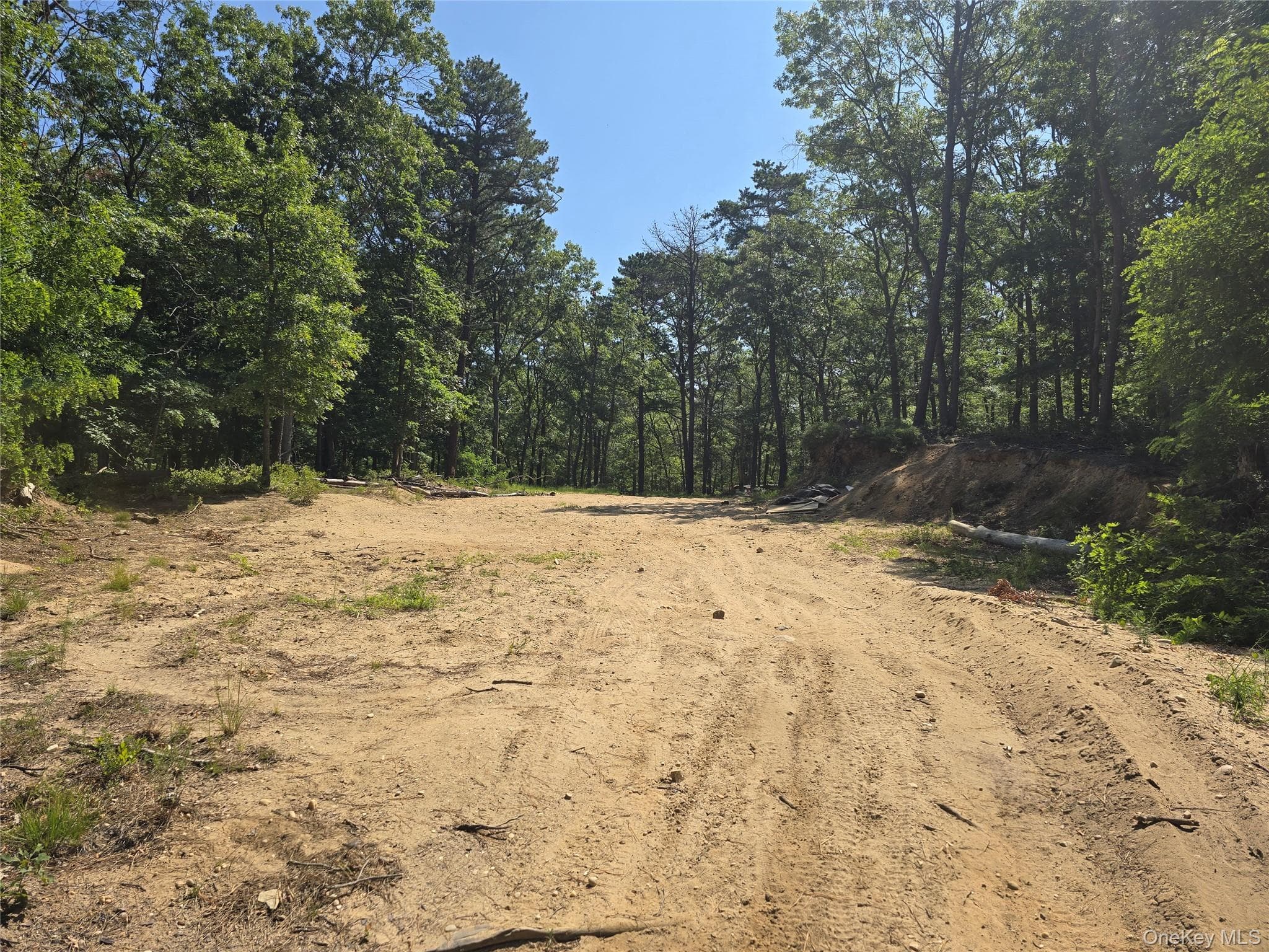 Manor Yaphank Road thumbnail 3
