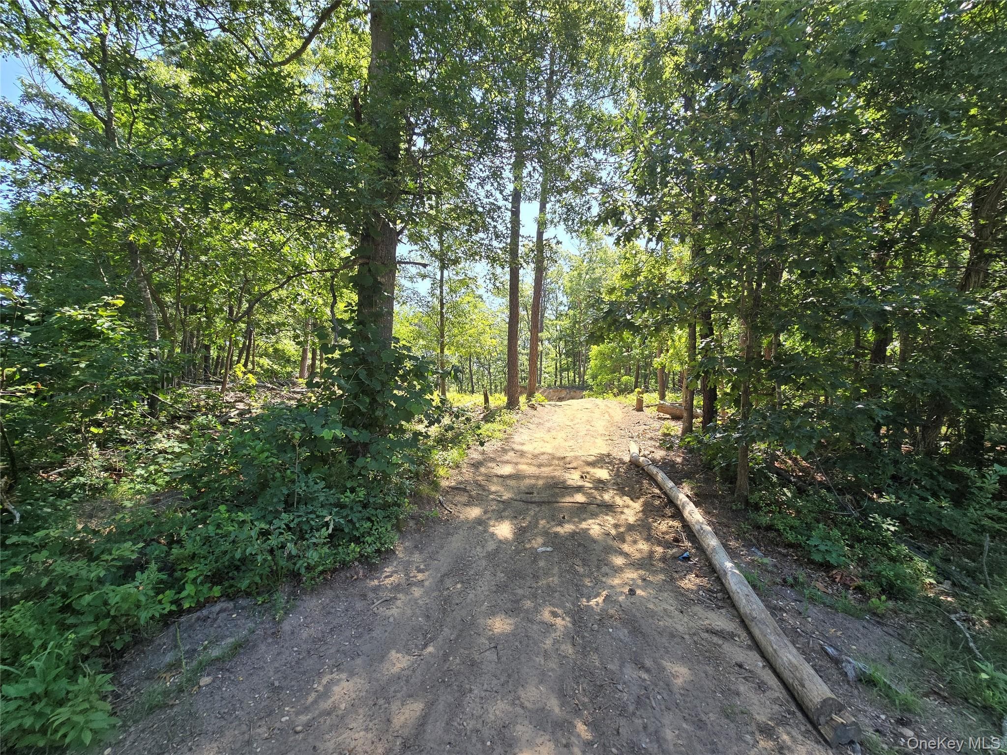 Manor Yaphank Road thumbnail 8