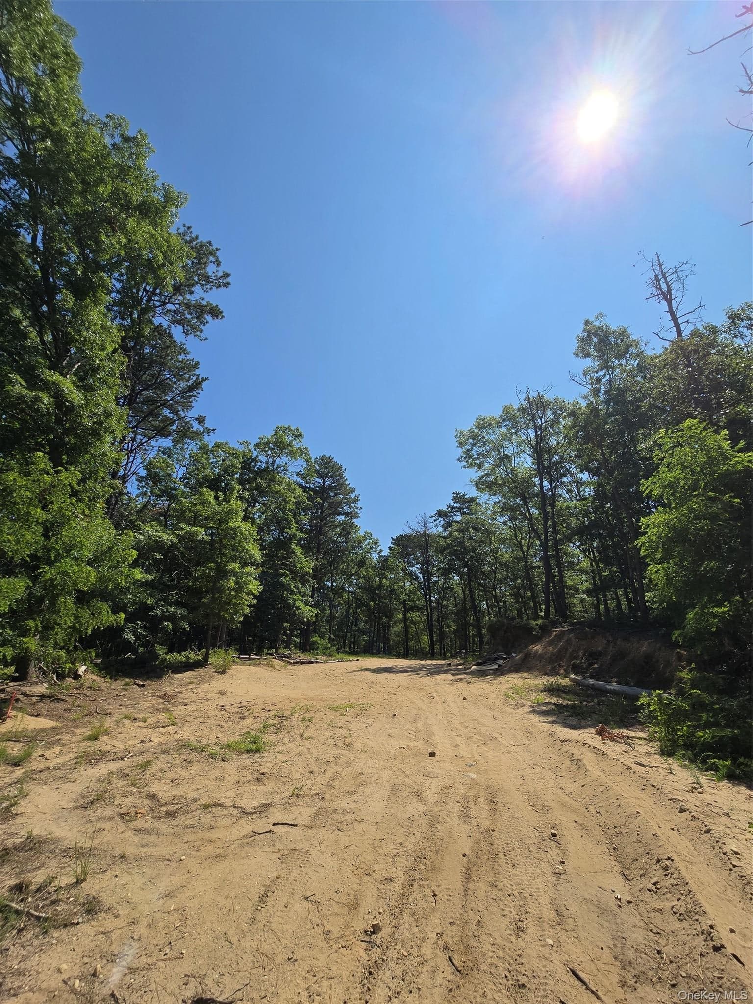 Manor Yaphank Road thumbnail 7