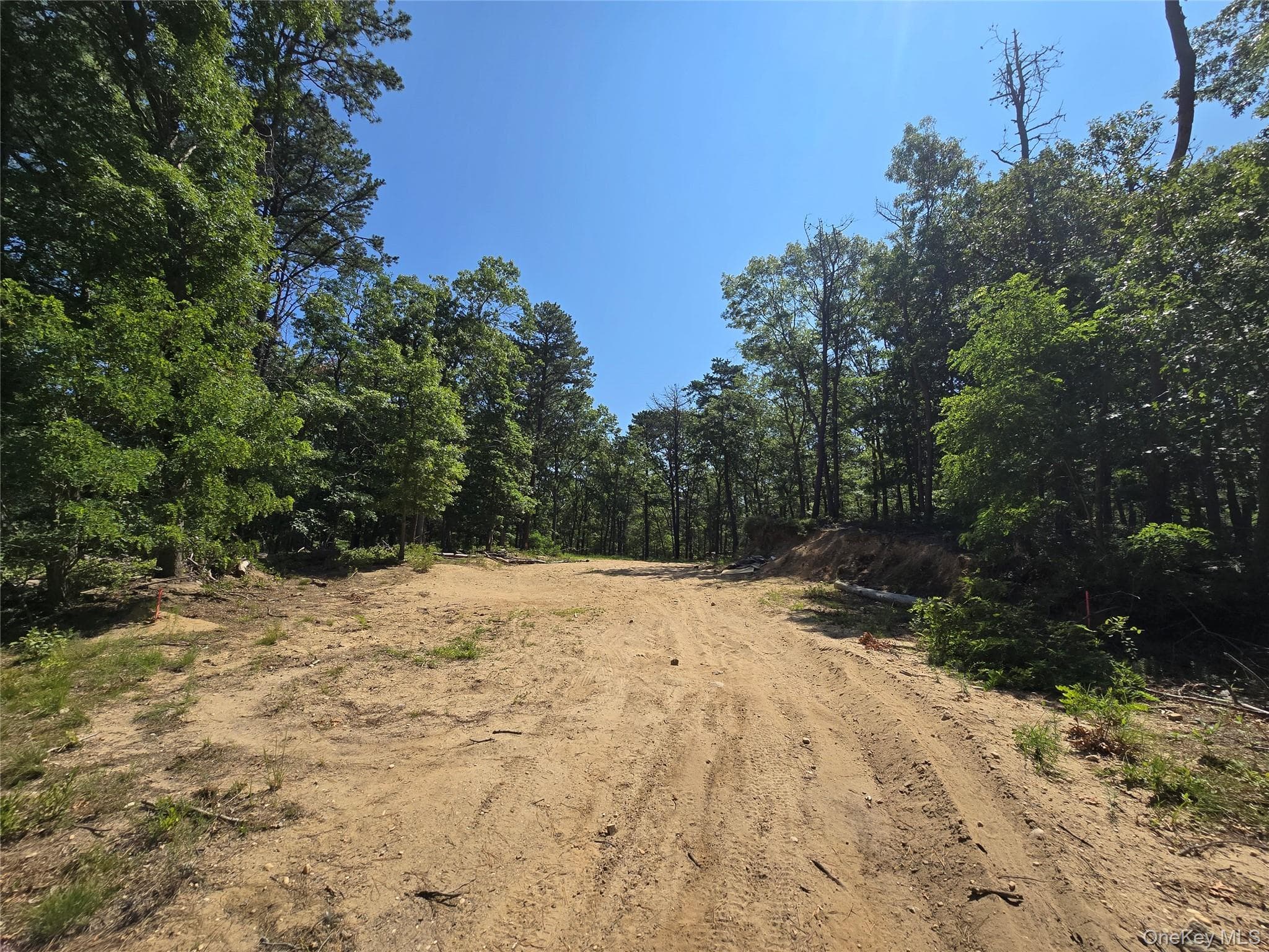 Manor Yaphank Road thumbnail 6