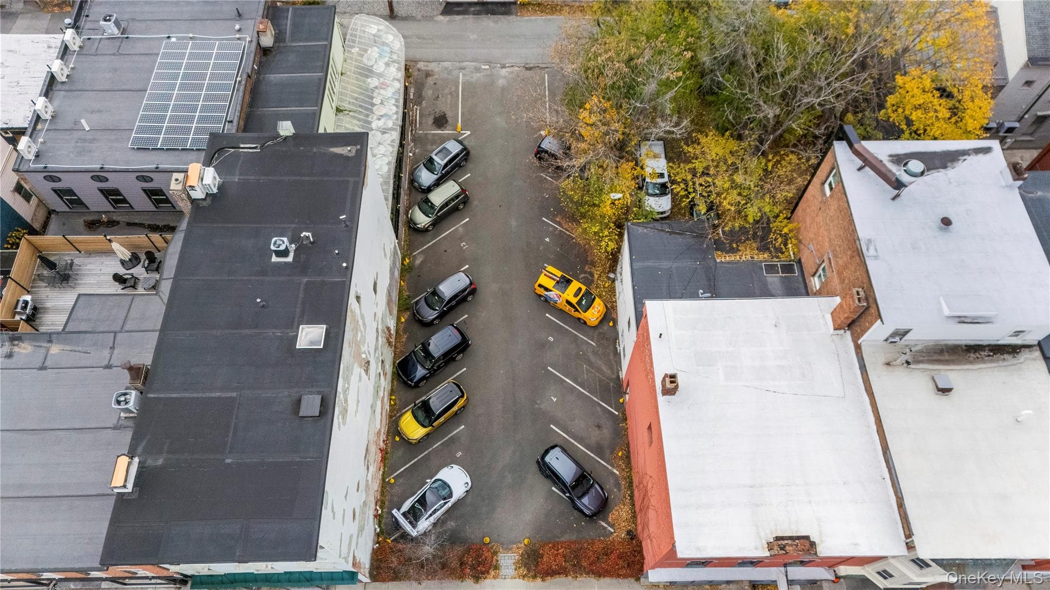411 Warren Street thumbnail 5
