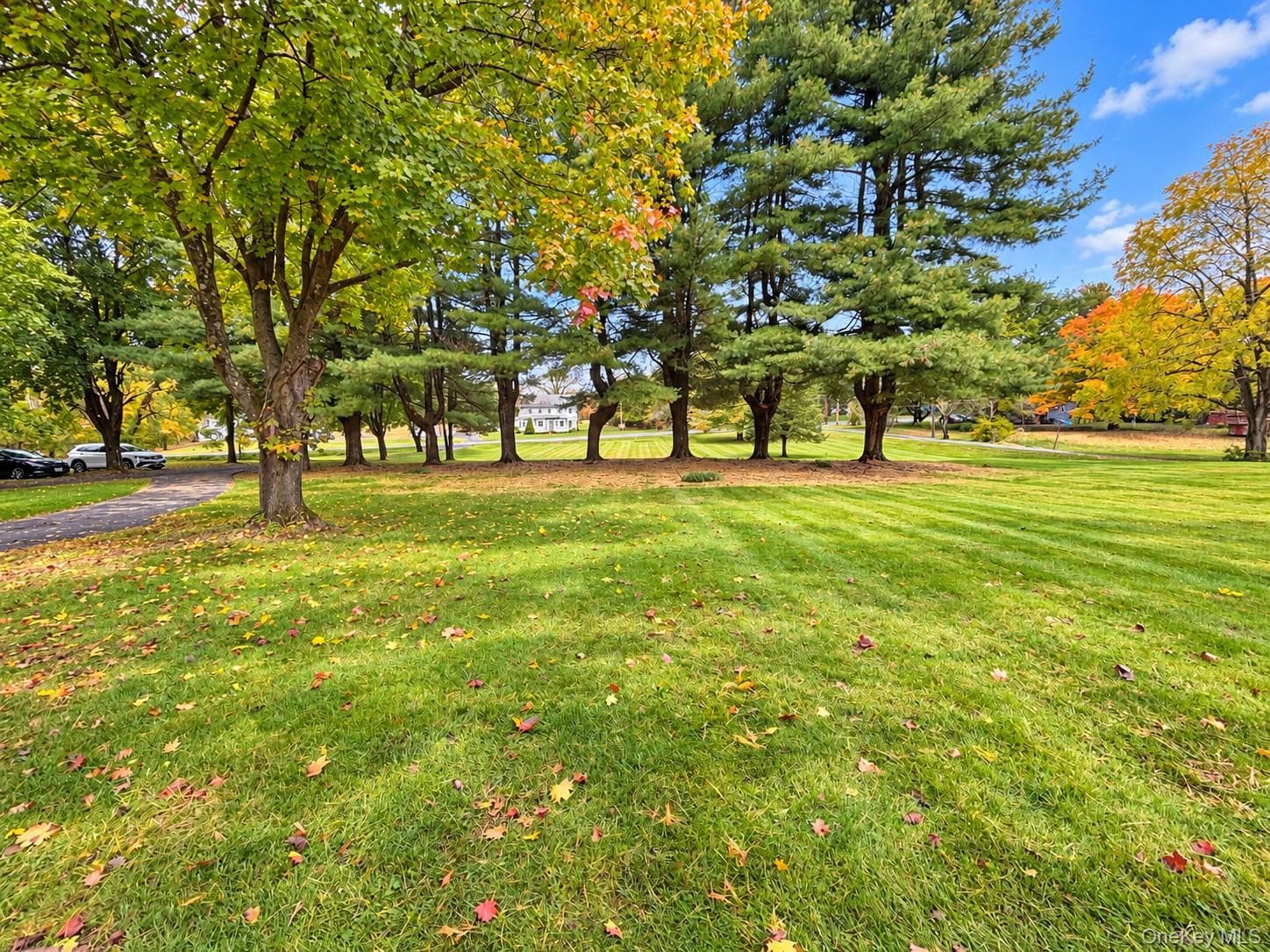 432 Plains Road thumbnail 4
