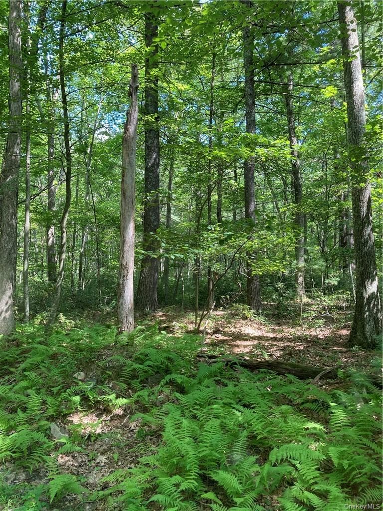 Allen Road, Wurtsboro