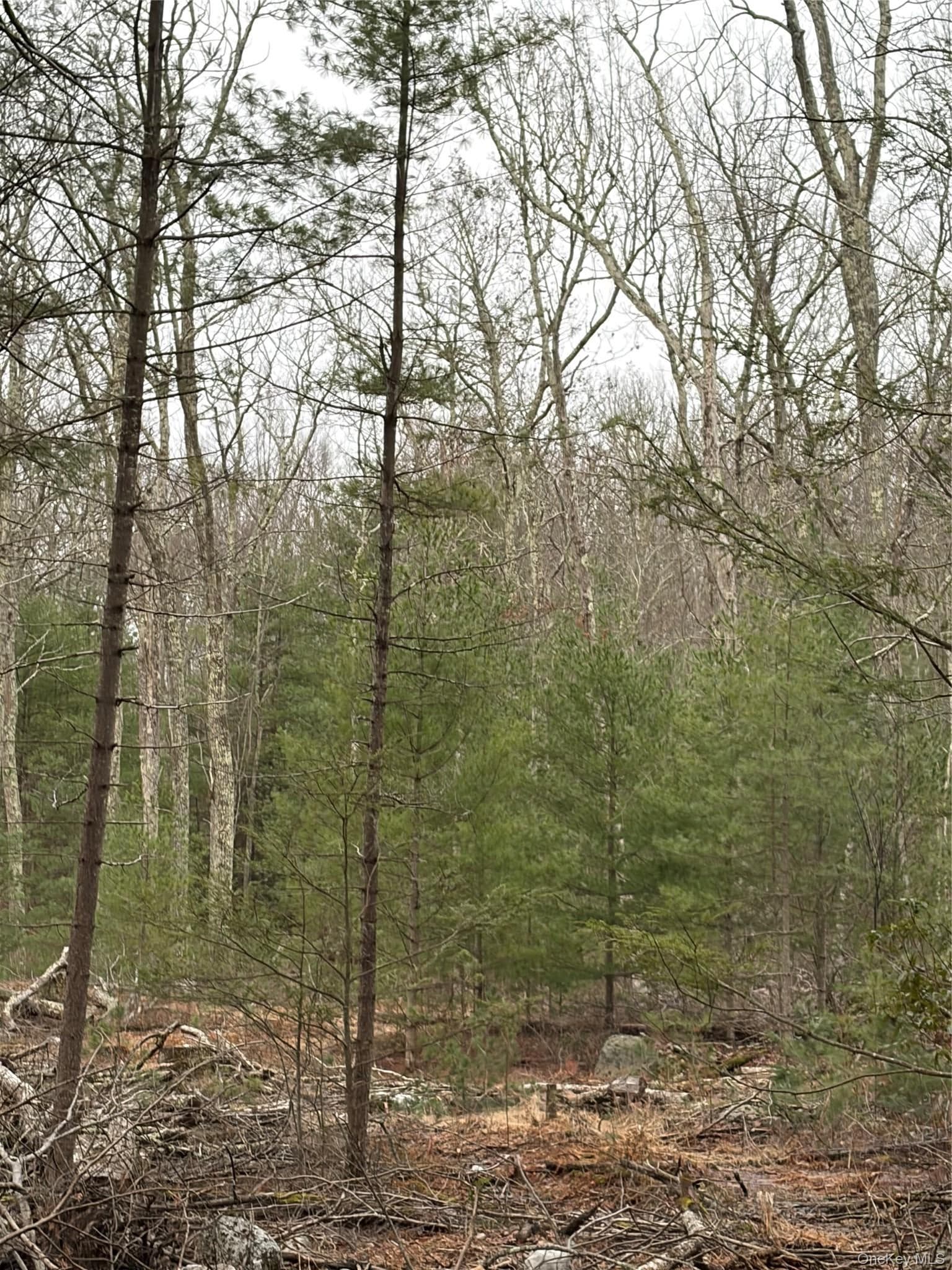 Allen Road thumbnail 14
