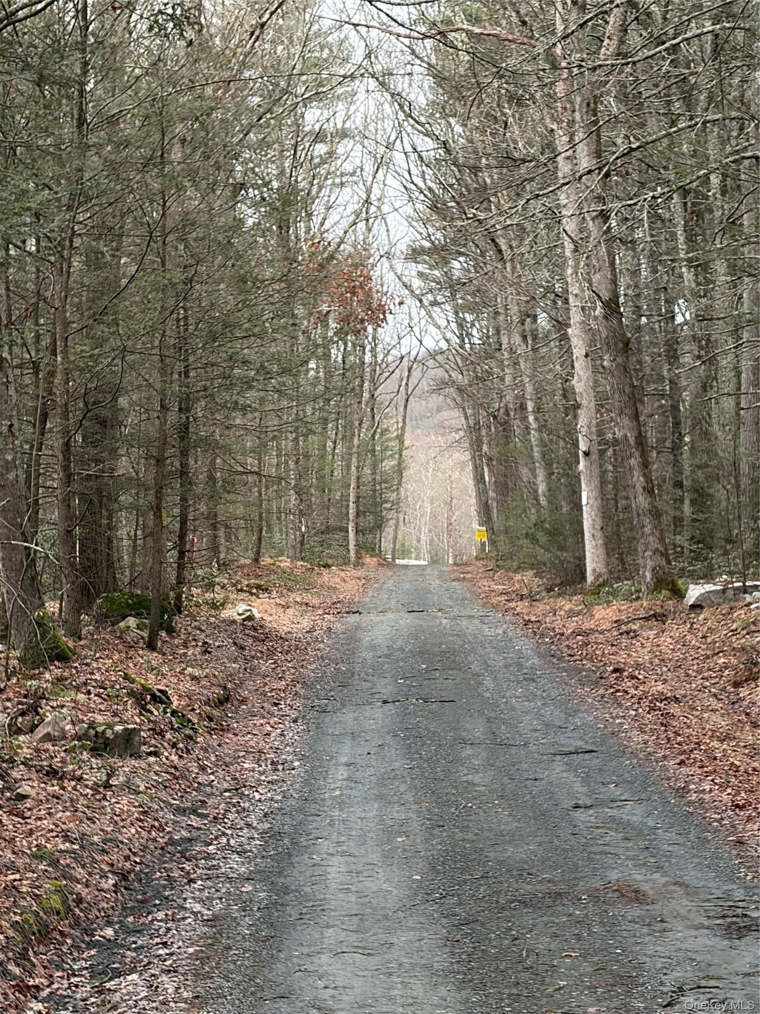 Allen Road thumbnail 15