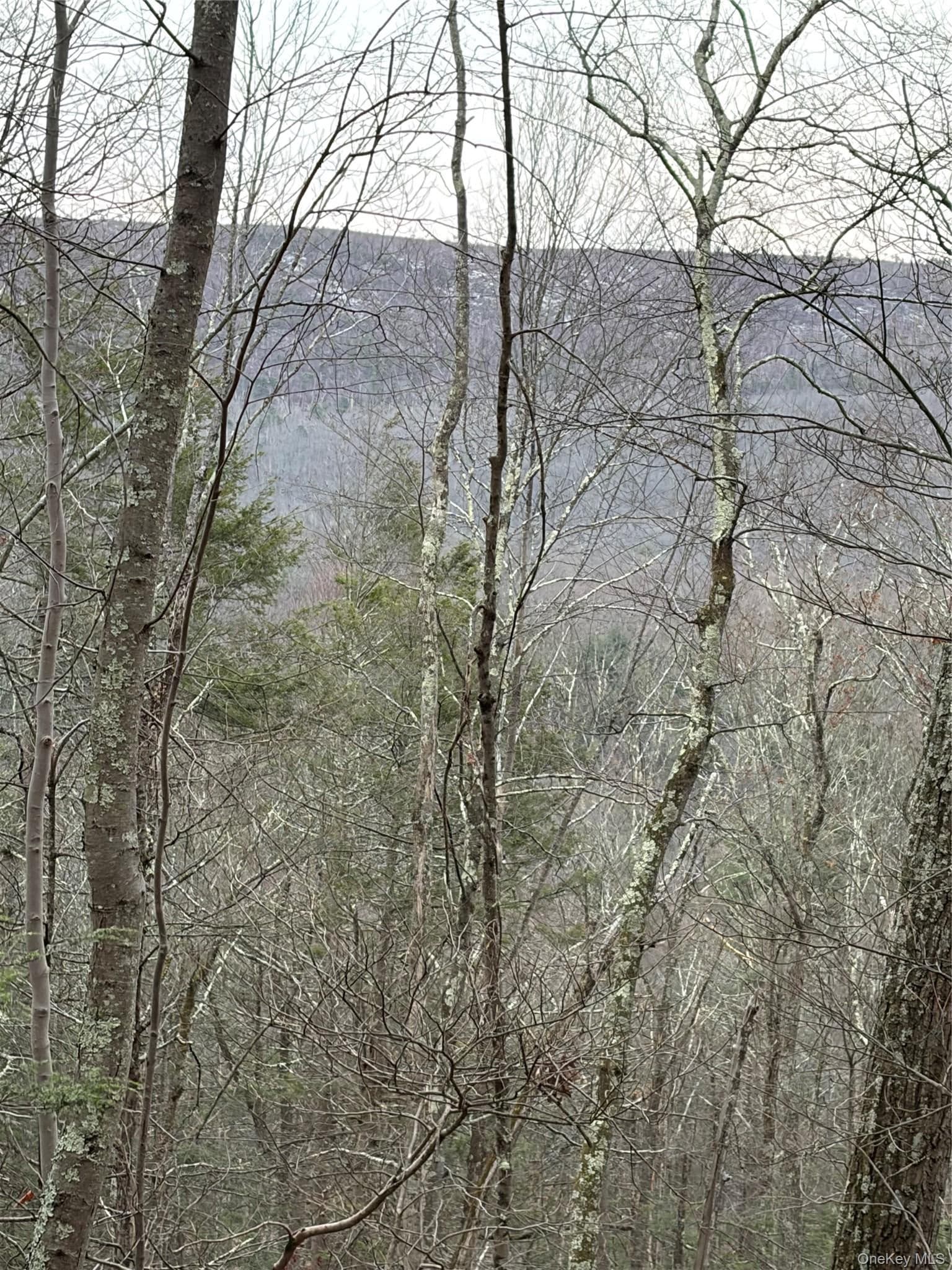Allen Road thumbnail 16