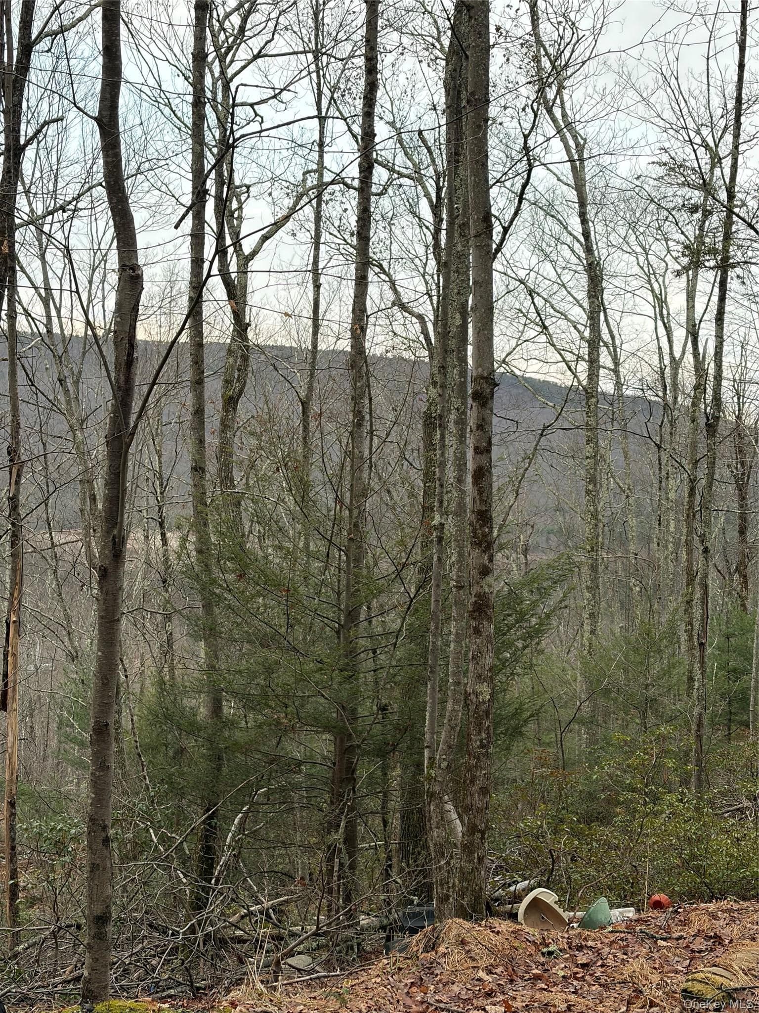 Allen Road thumbnail 12