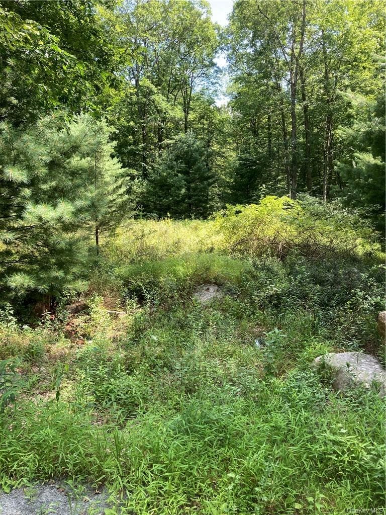 Allen Road thumbnail 7