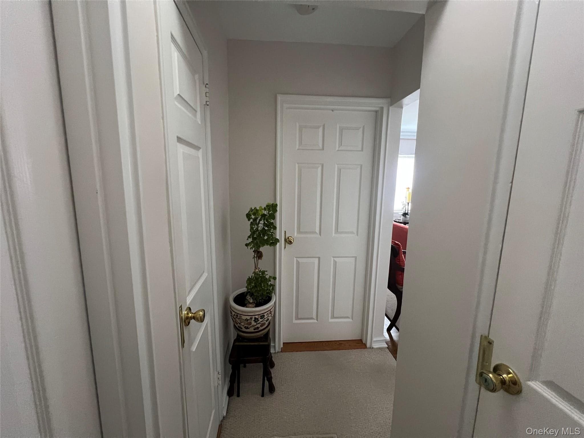 216-05 48th Avenue Unit: 2C thumbnail 11