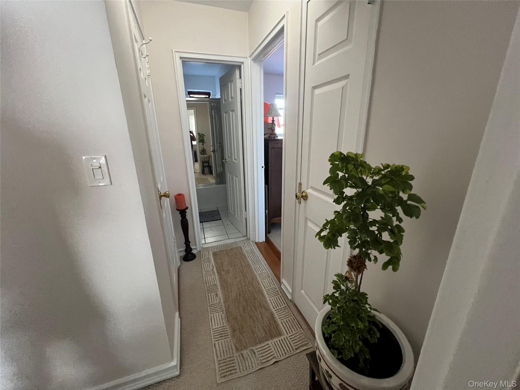 216-05 48th Avenue Unit: 2C thumbnail 13