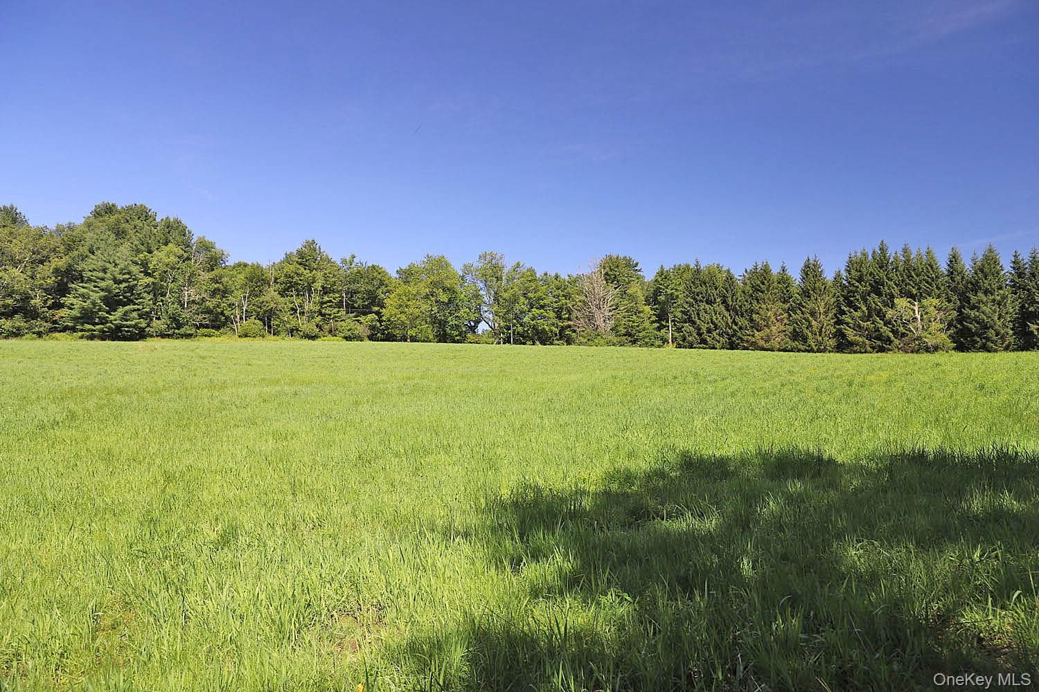 Lot 4B Hurd Road thumbnail 15