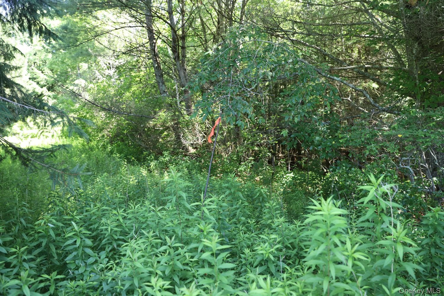 Lot 4B Hurd Road thumbnail 7