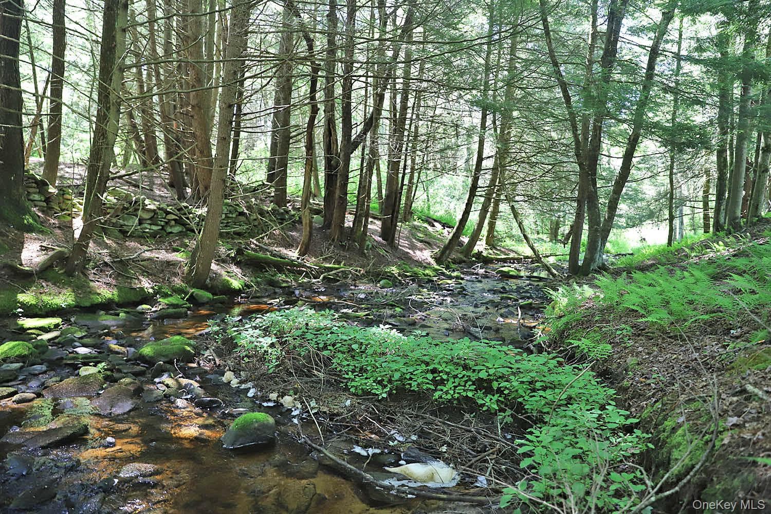 Lot 4B Hurd Road thumbnail 8