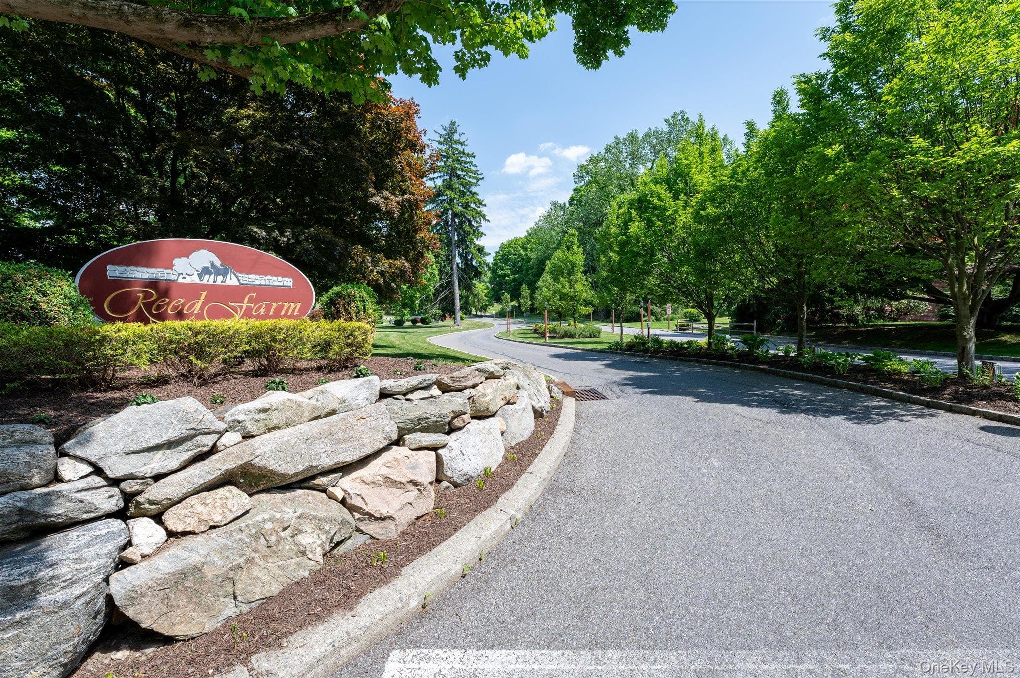 806 Orchard Hill Lane thumbnail 26