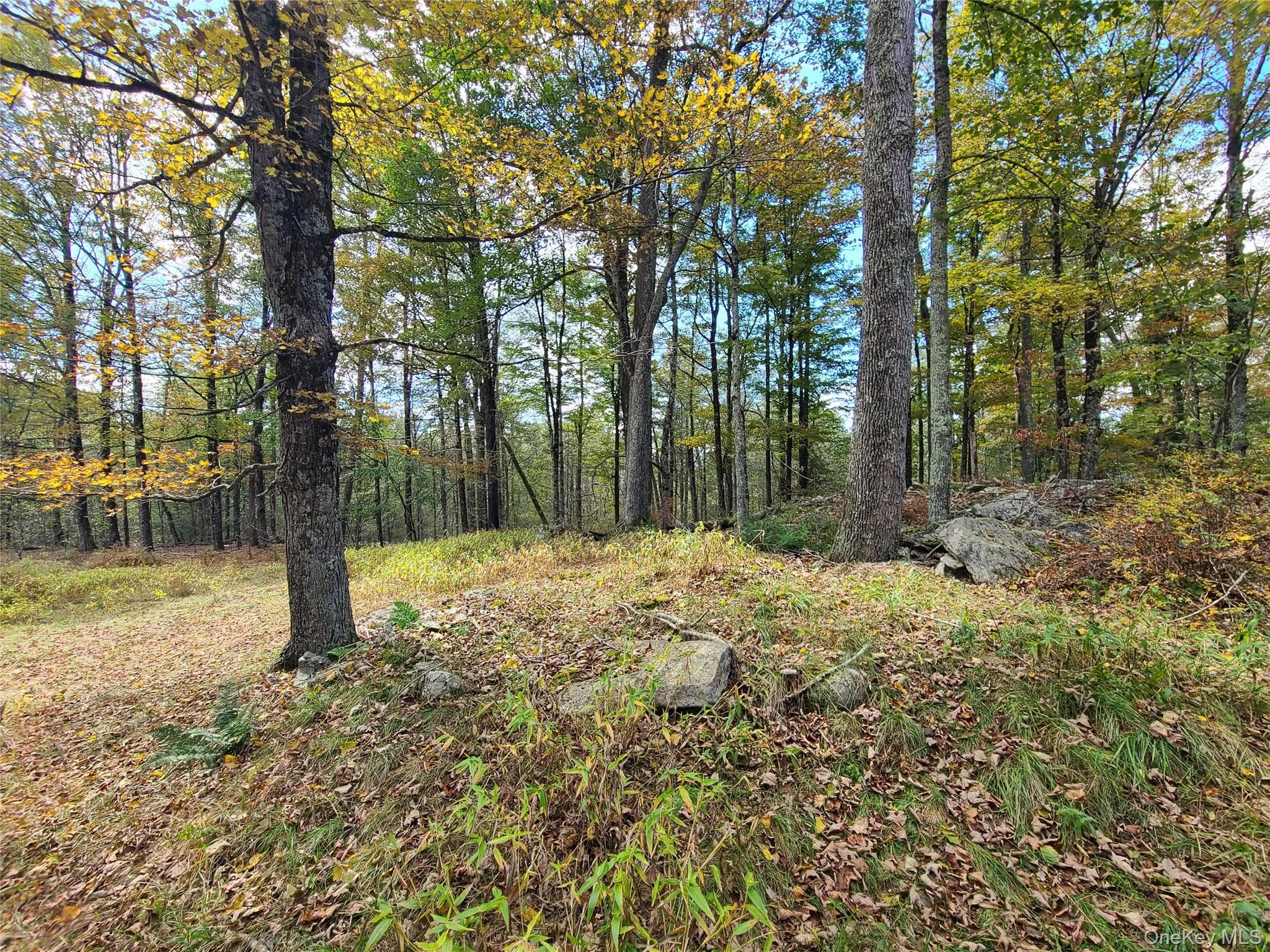 118 Hilltop Road thumbnail 12