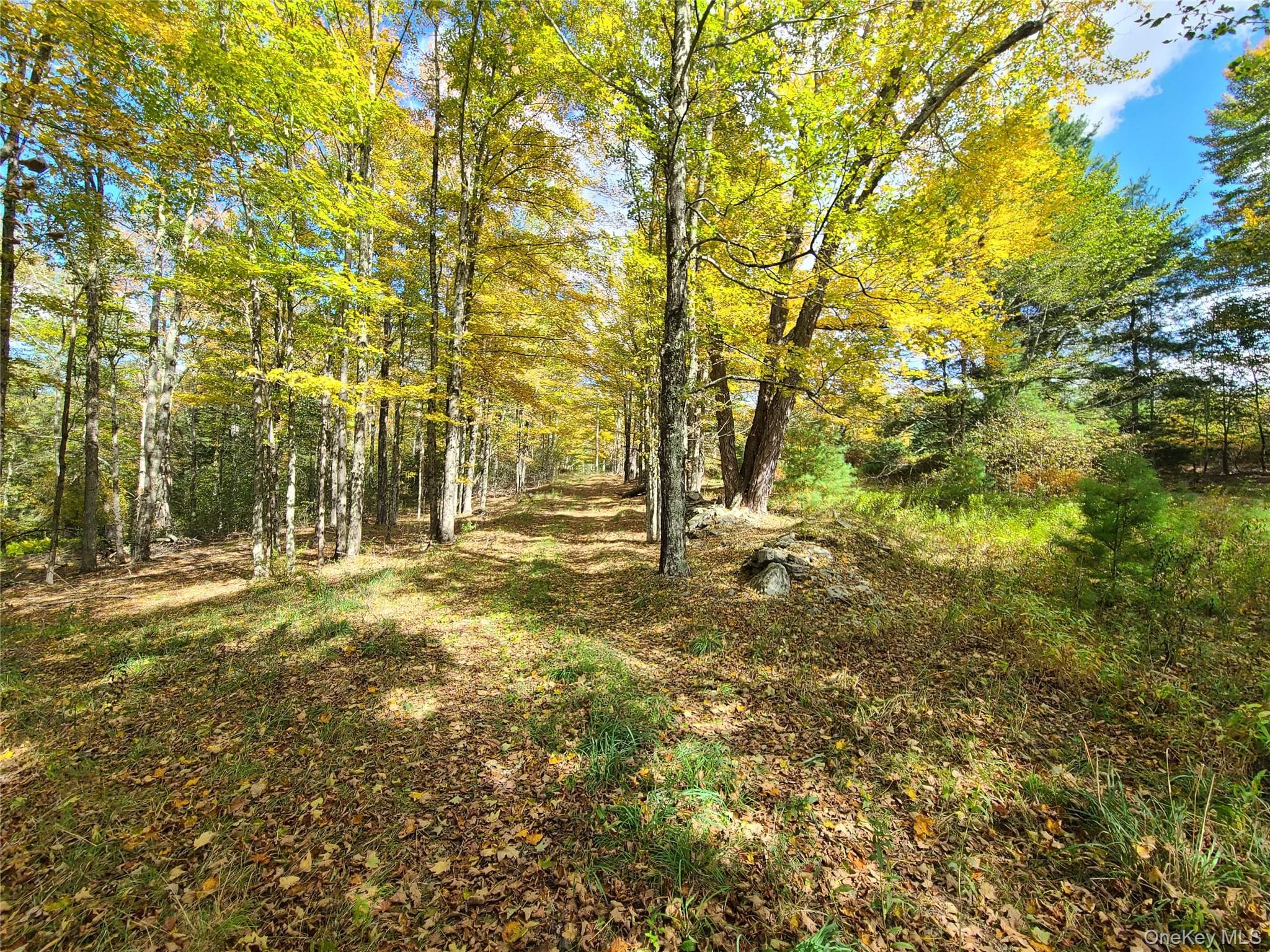 118 Hilltop Road thumbnail 22