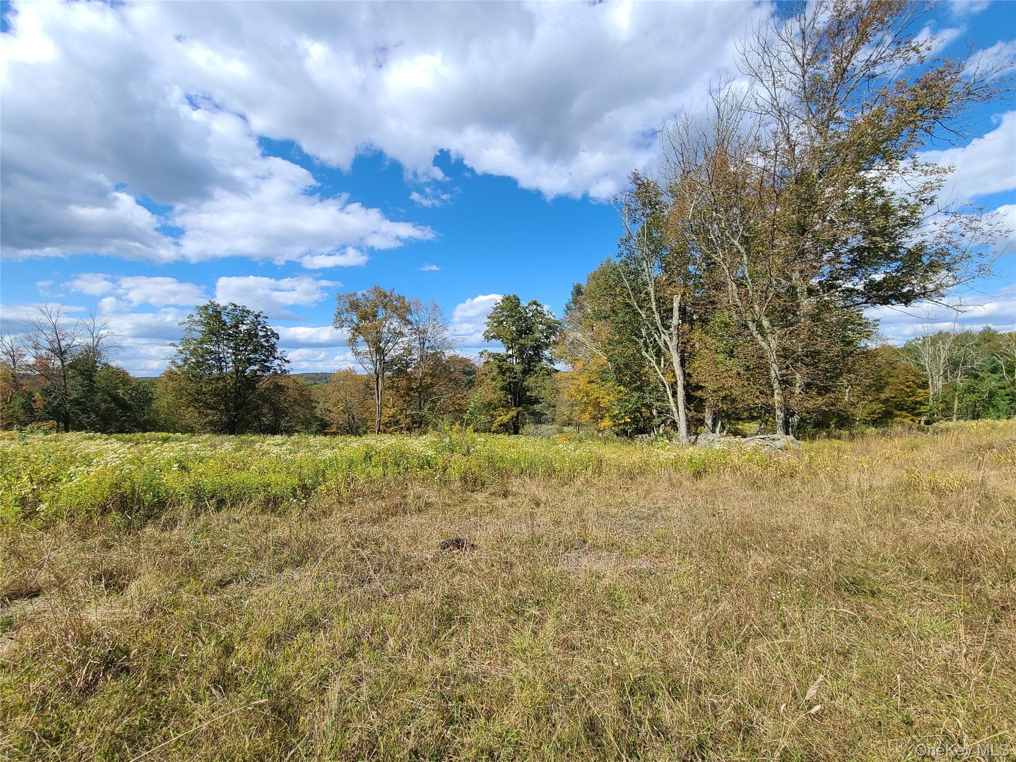 118 Hilltop Road thumbnail 29
