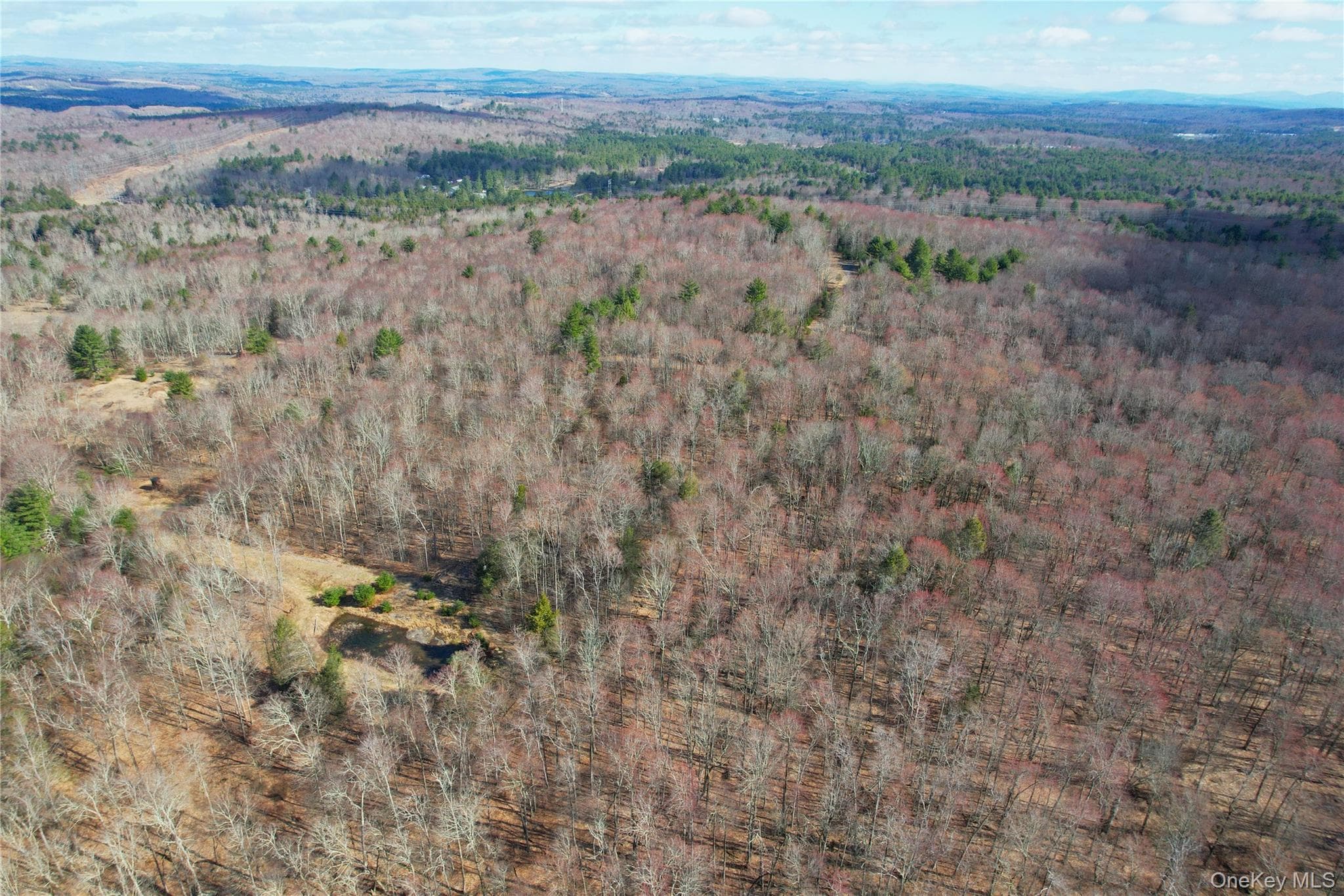 118 Hilltop Road thumbnail 49