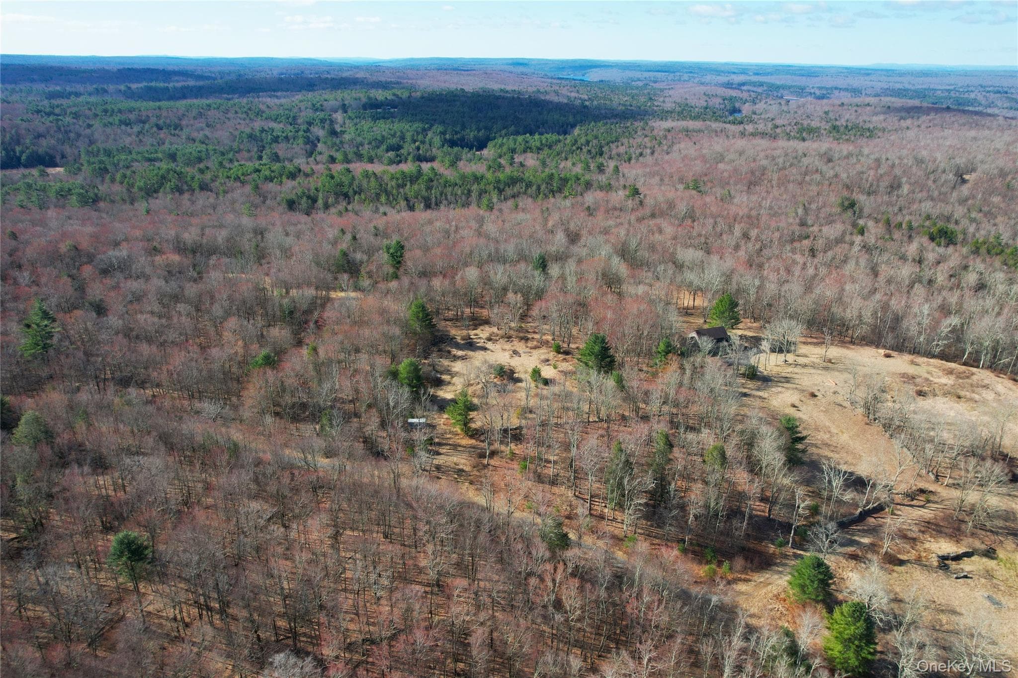 118 Hilltop Road thumbnail 46
